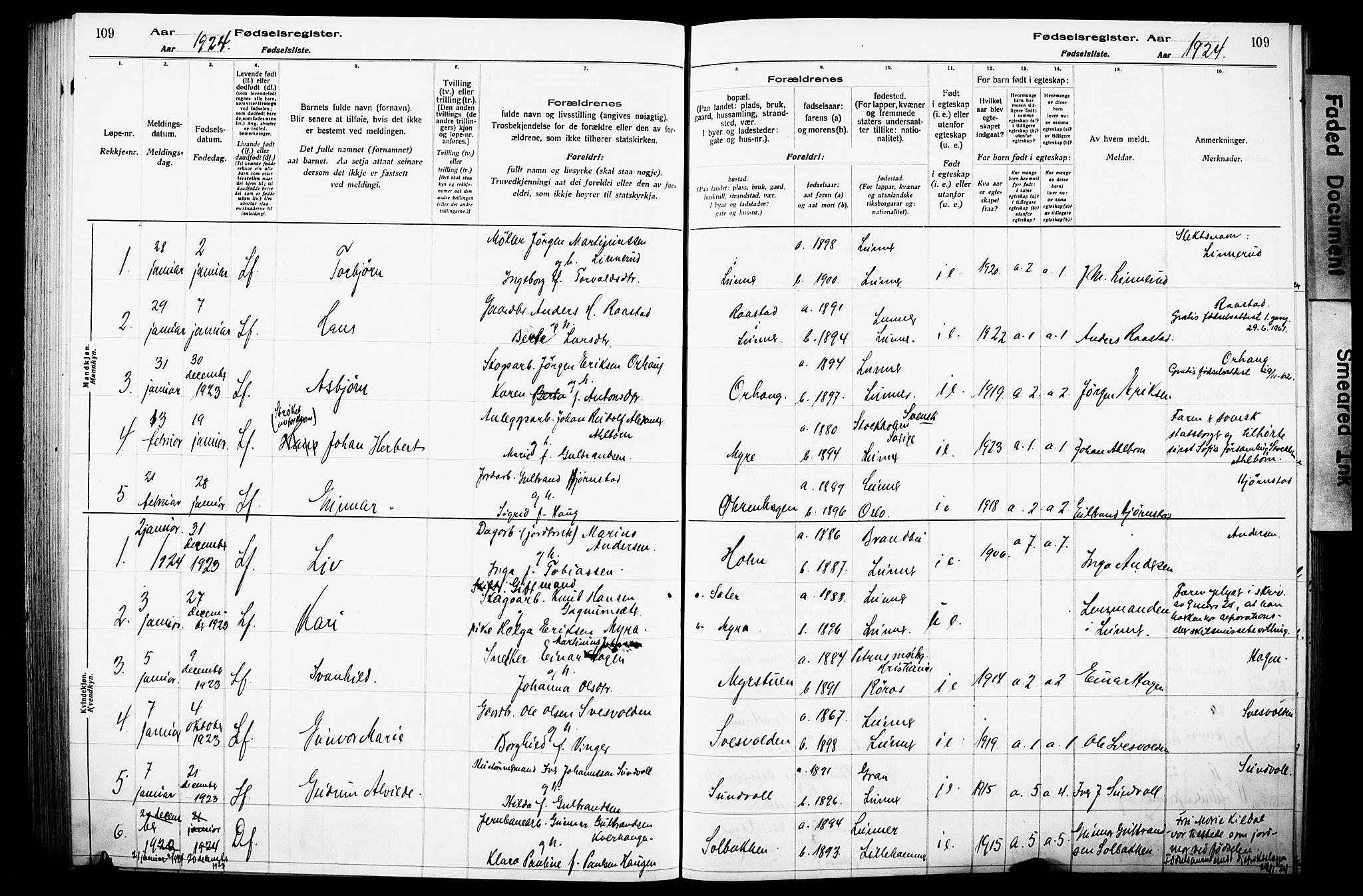 Lunner prestekontor, AV/SAH-PREST-118/I/Id/L0001: Fødselsregister nr. 1, 1916-1932, s. 109