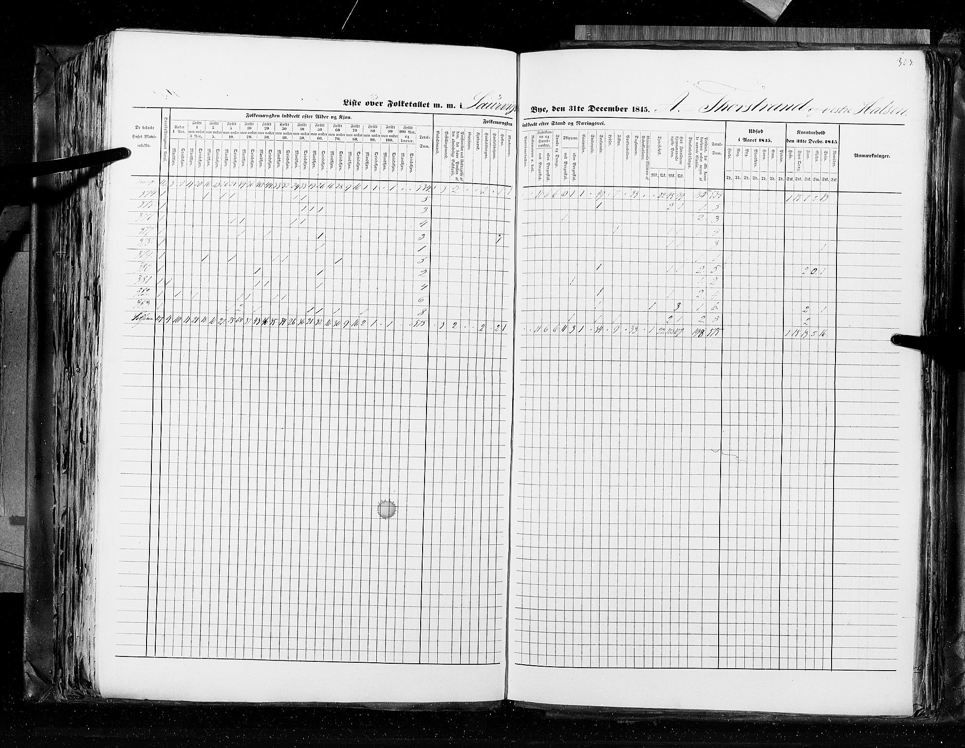 RA, Folketellingen 1845, bind 10: Kjøp- og ladesteder, 1845, s. 303