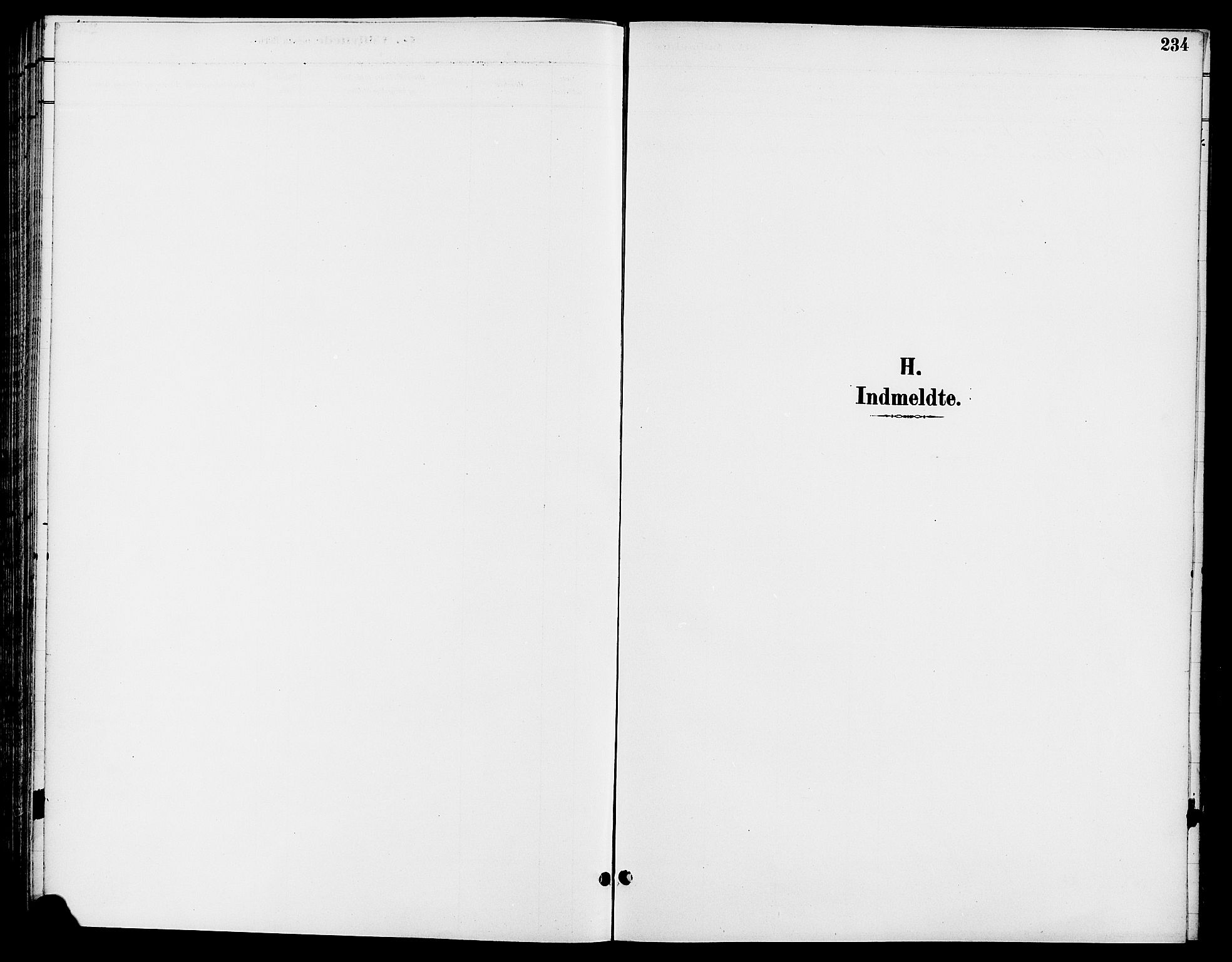 Ringsaker prestekontor, SAH/PREST-014/L/La/L0014: Klokkerbok nr. 14, 1891-1904, s. 234