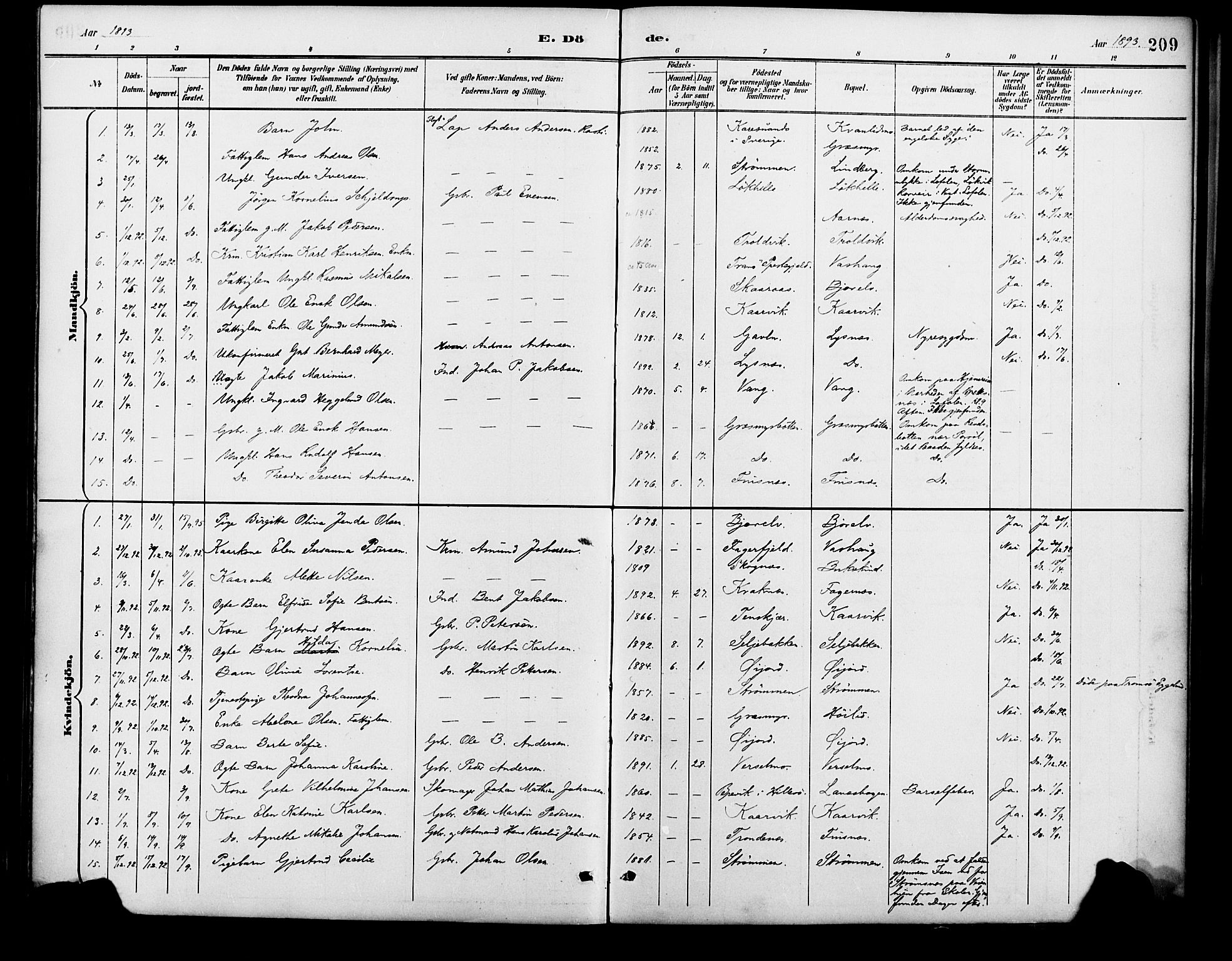 Lenvik sokneprestembete, AV/SATØ-S-1310/H/Ha/Haa/L0013kirke: Ministerialbok nr. 13, 1890-1898, s. 209