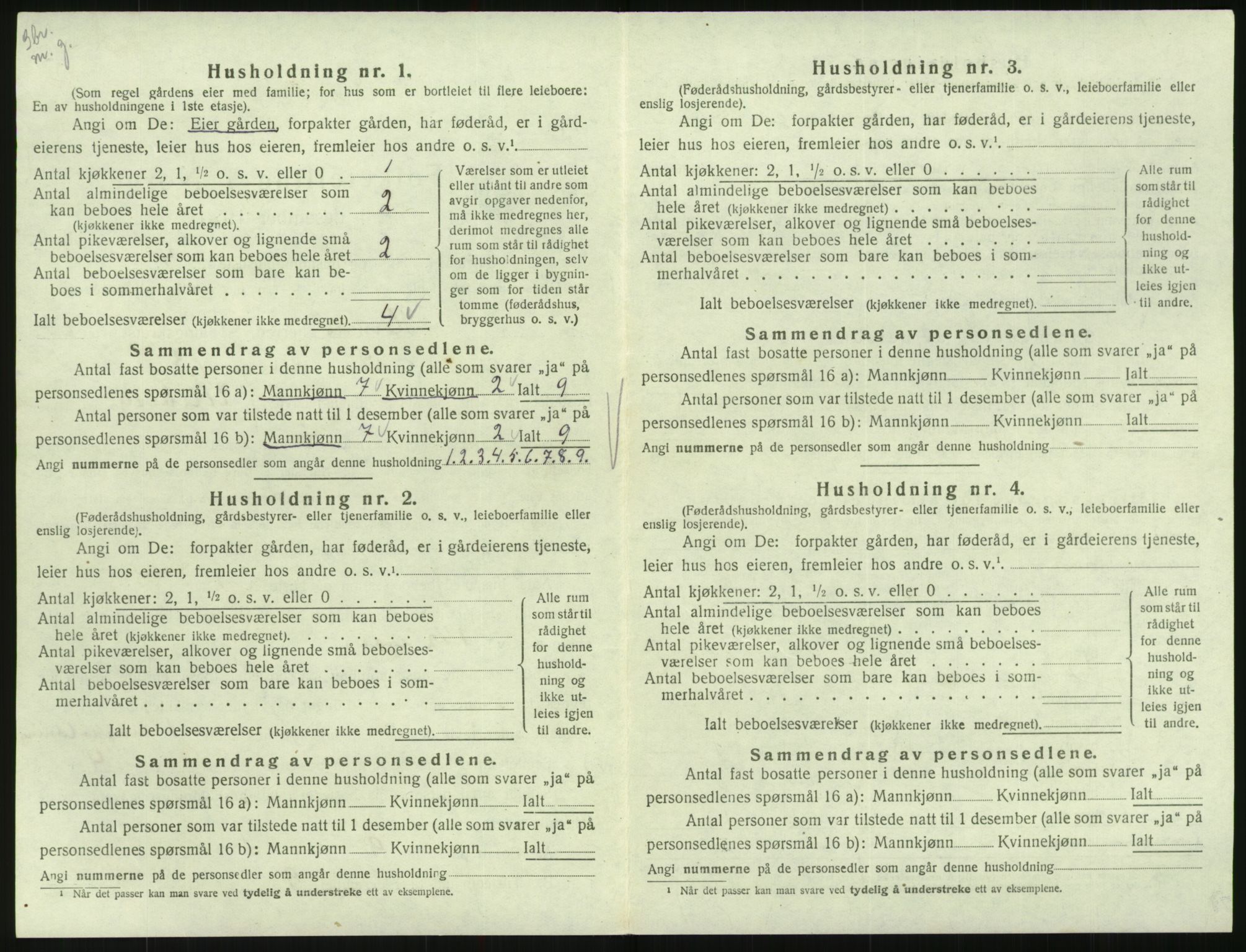 SAK, Folketelling 1920 for 0936 Hornnes herred, 1920, s. 252