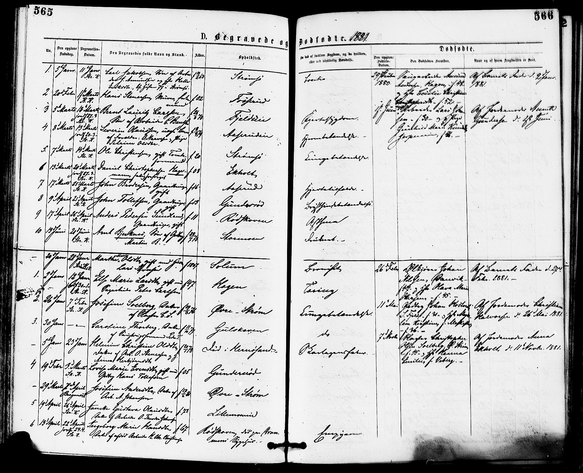Skoger kirkebøker, AV/SAKO-A-59/F/Fa/L0005: Ministerialbok nr. I 5, 1873-1884, s. 565-566