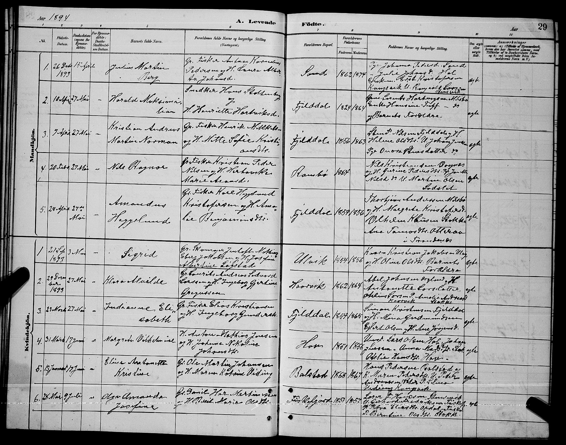 Ministerialprotokoller, klokkerbøker og fødselsregistre - Nordland, AV/SAT-A-1459/865/L0931: Klokkerbok nr. 865C03, 1885-1901, s. 29