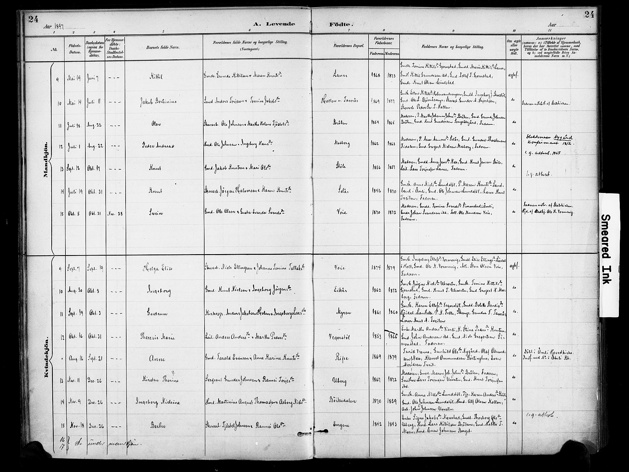 Gjerstad sokneprestkontor, AV/SAK-1111-0014/F/Fa/Fab/L0005: Ministerialbok nr. A 5, 1891-1908, s. 24