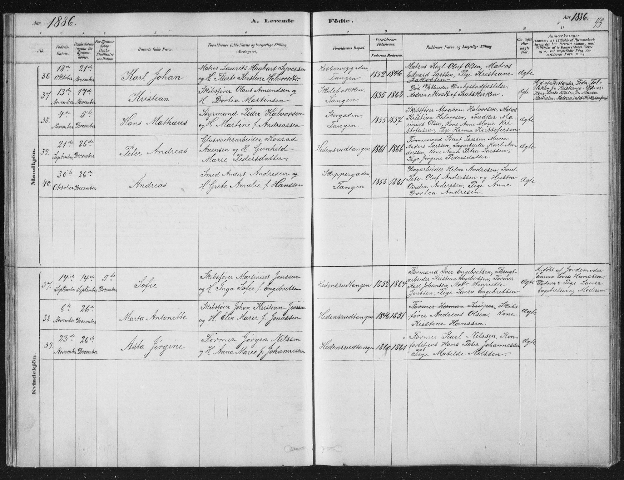 Strømsø kirkebøker, AV/SAKO-A-246/F/Fb/L0005: Ministerialbok nr. II 5, 1877-1902, s. 43