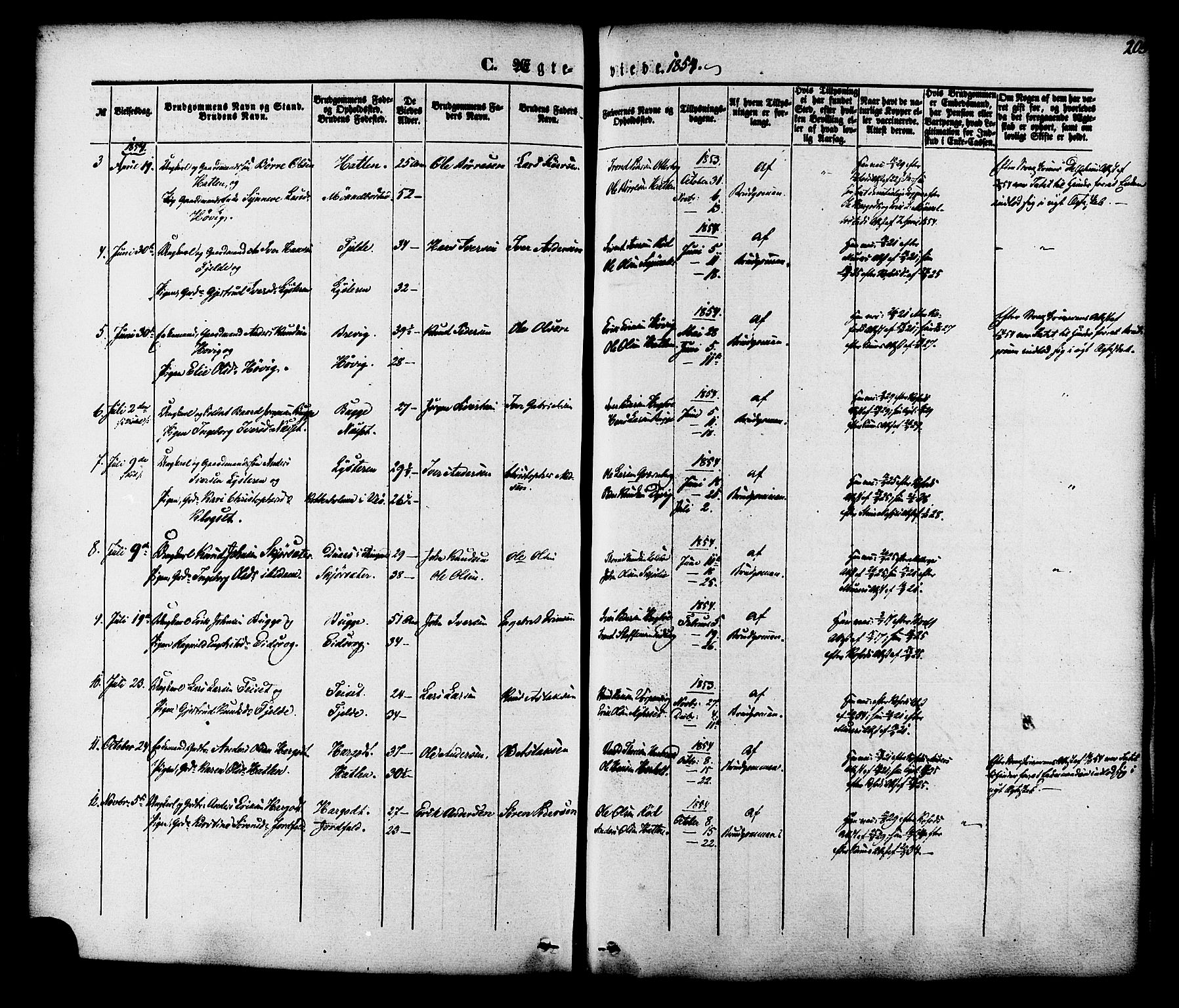 Ministerialprotokoller, klokkerbøker og fødselsregistre - Møre og Romsdal, AV/SAT-A-1454/551/L0625: Ministerialbok nr. 551A05, 1846-1879, s. 205