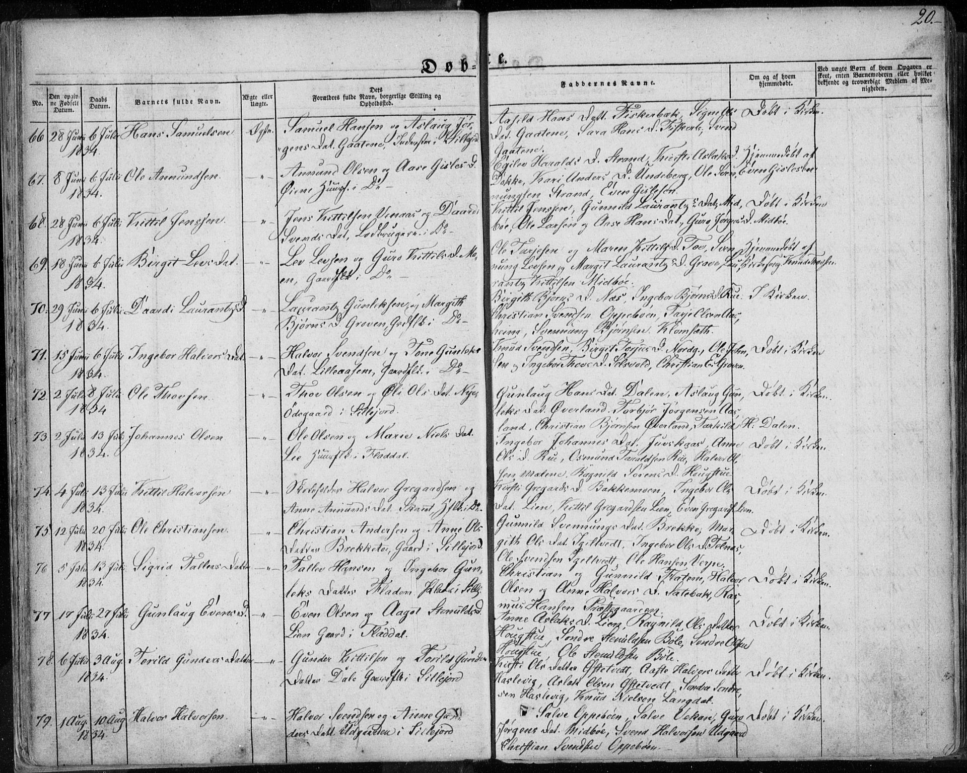 Seljord kirkebøker, AV/SAKO-A-20/F/Fa/L0011: Ministerialbok nr. I 11, 1831-1849, s. 20