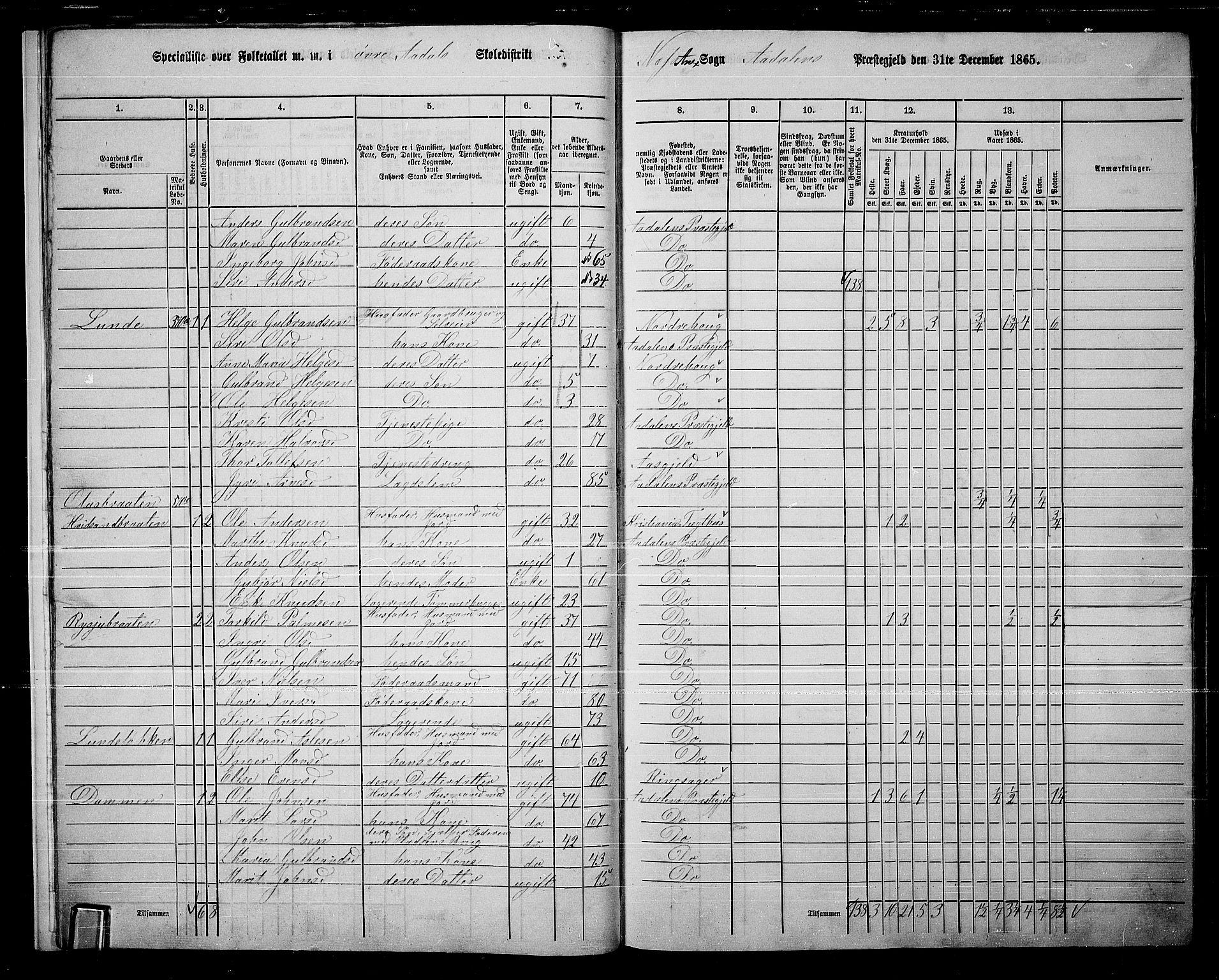 RA, Folketelling 1865 for 0614P Ådal prestegjeld, 1865, s. 14