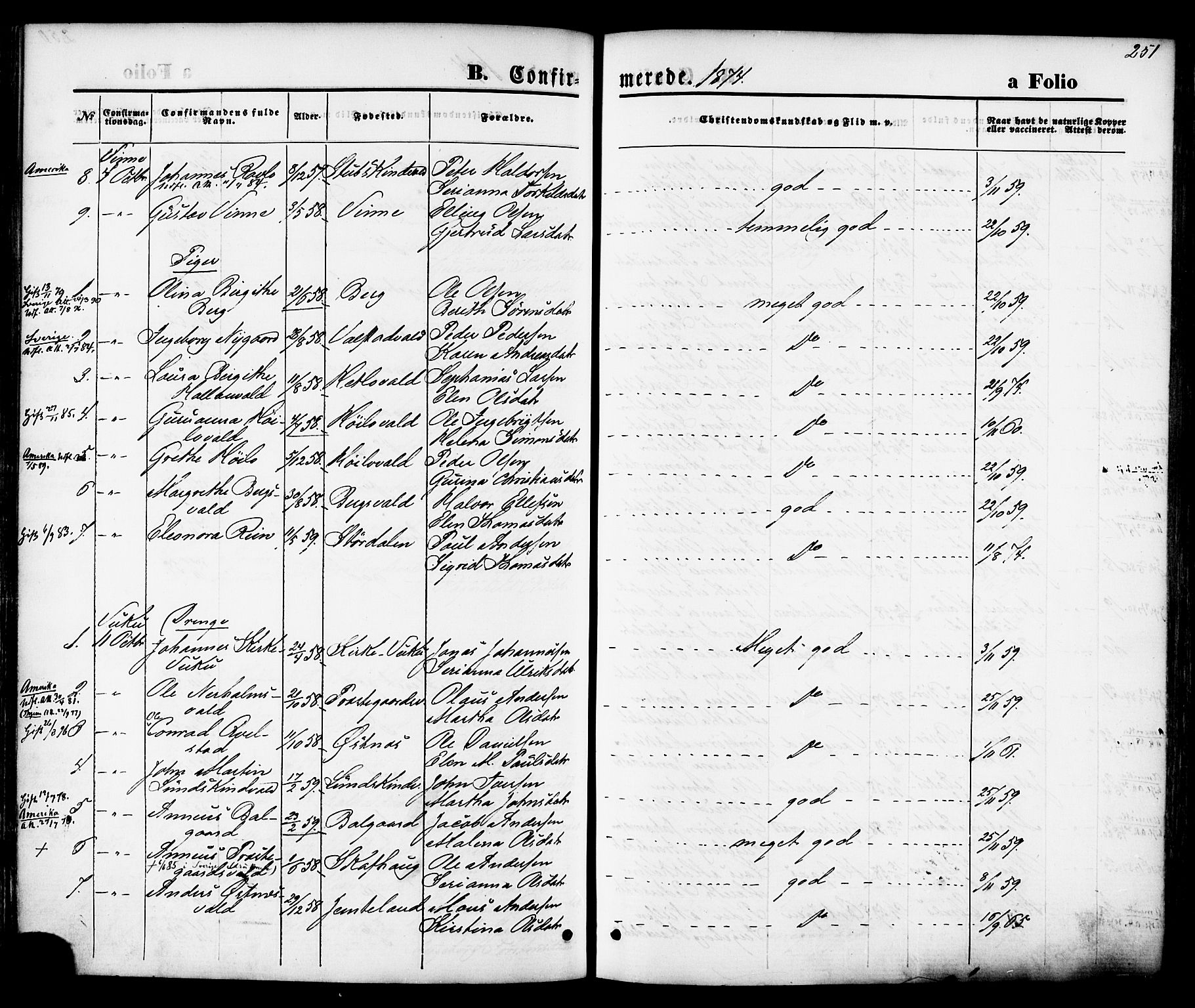 Ministerialprotokoller, klokkerbøker og fødselsregistre - Nord-Trøndelag, AV/SAT-A-1458/723/L0242: Ministerialbok nr. 723A11, 1870-1880, s. 251