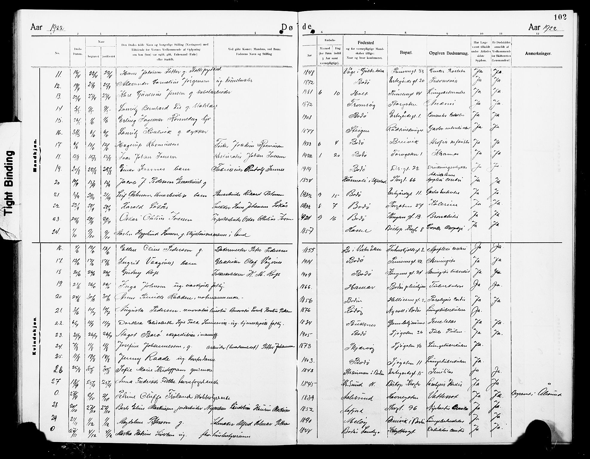 Ministerialprotokoller, klokkerbøker og fødselsregistre - Nordland, AV/SAT-A-1459/801/L0035: Klokkerbok nr. 801C10, 1910-1923, s. 102