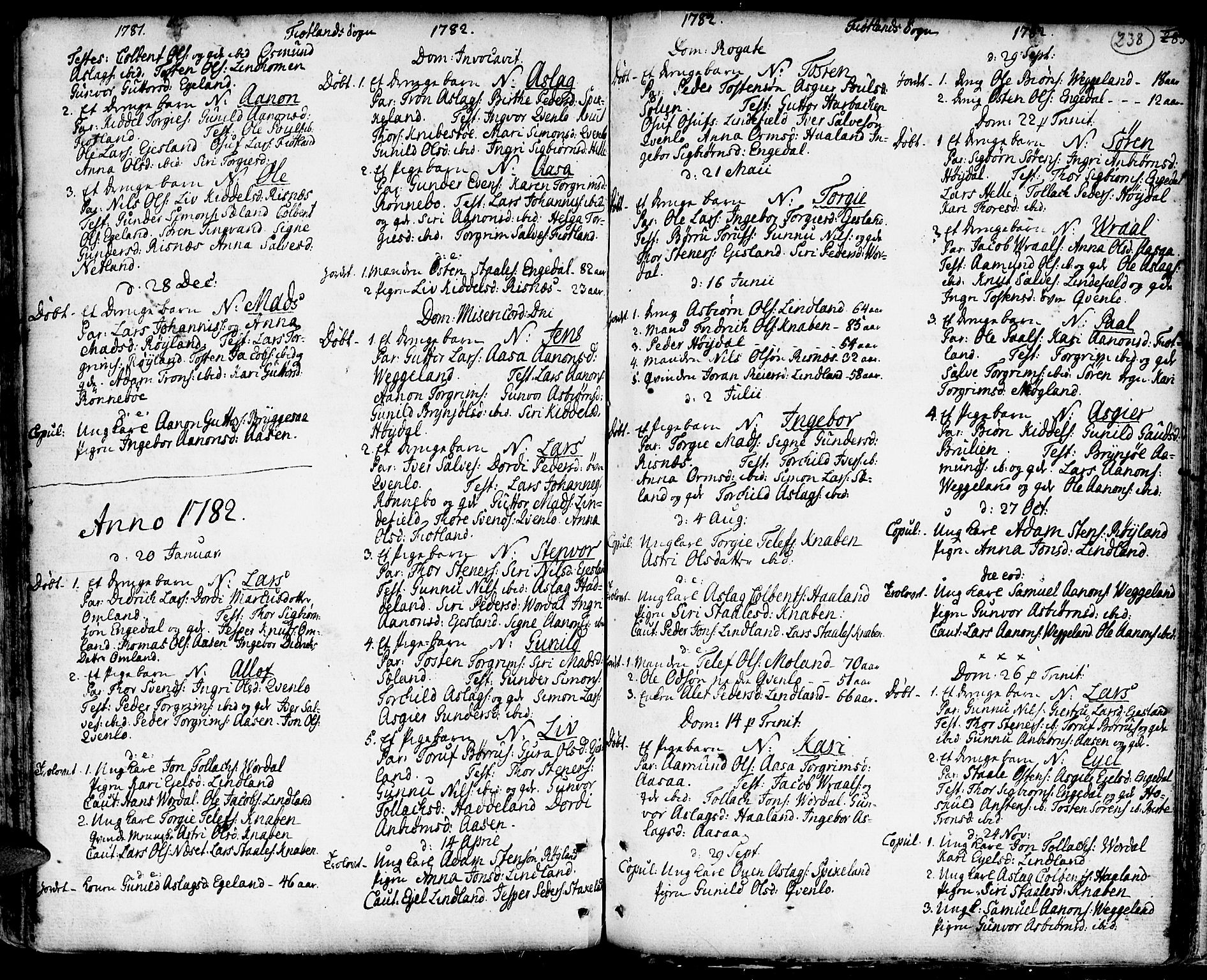 Hægebostad sokneprestkontor, AV/SAK-1111-0024/F/Fa/Faa/L0001: Ministerialbok nr. A 1 /3, 1760-1826, s. 238