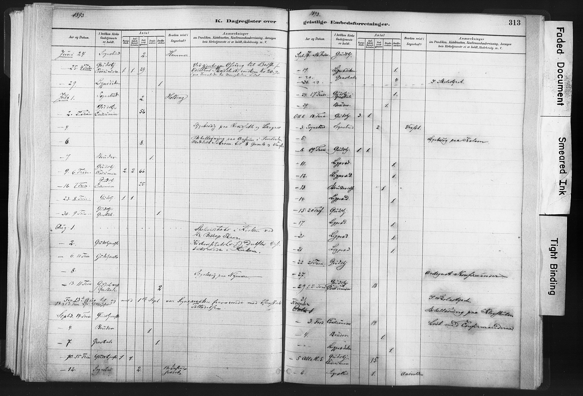 Ministerialprotokoller, klokkerbøker og fødselsregistre - Nord-Trøndelag, AV/SAT-A-1458/749/L0474: Ministerialbok nr. 749A08, 1887-1903, s. 313