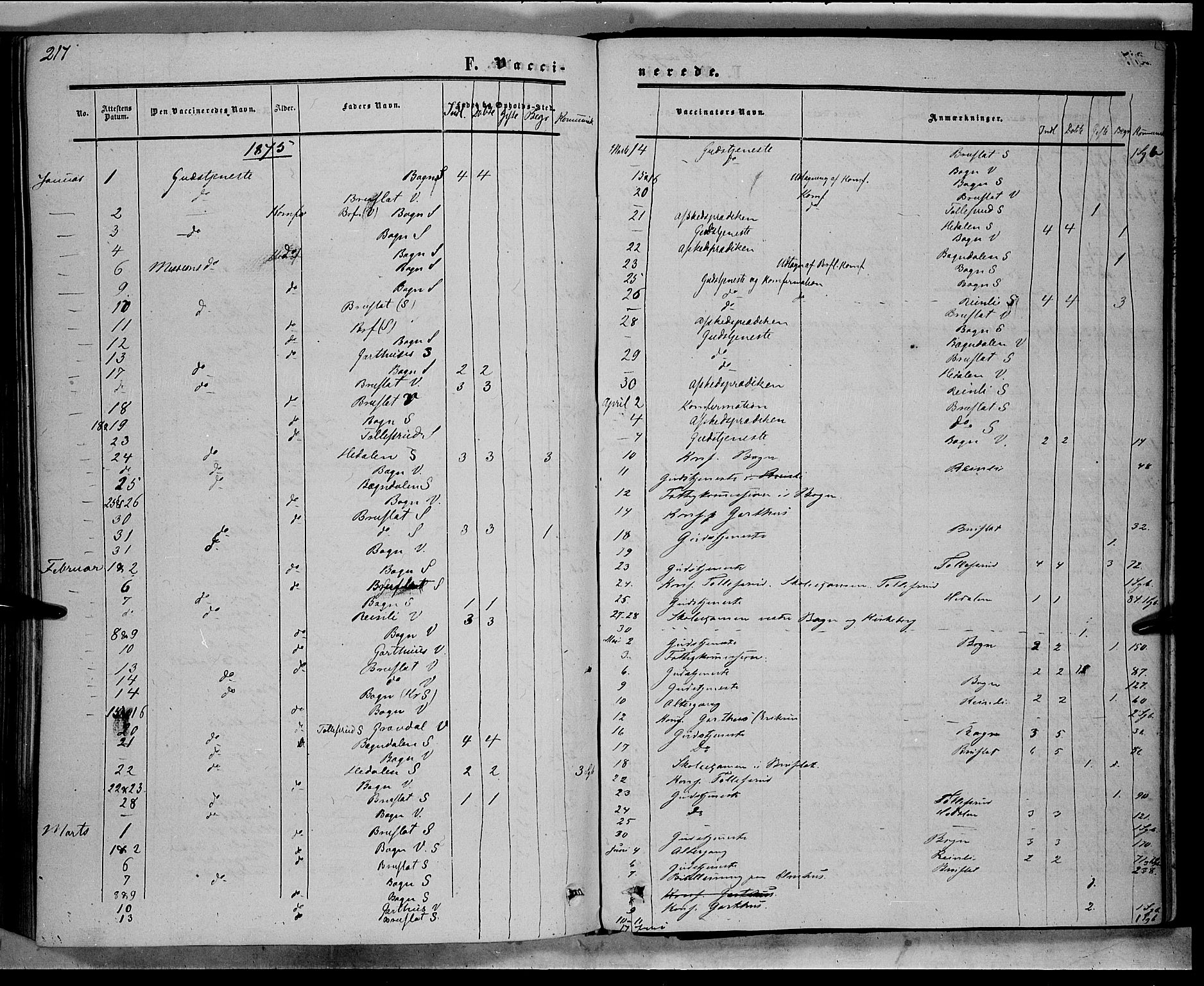 Sør-Aurdal prestekontor, AV/SAH-PREST-128/H/Ha/Haa/L0007: Ministerialbok nr. 7, 1849-1876, s. 217