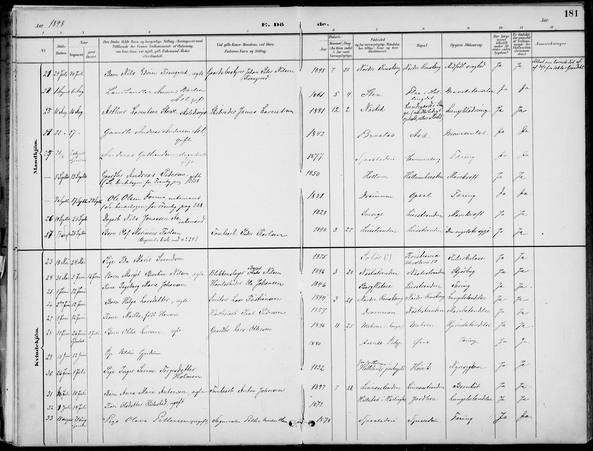 Lier kirkebøker, AV/SAKO-A-230/F/Fa/L0016: Ministerialbok nr. I 16, 1895-1900, s. 181