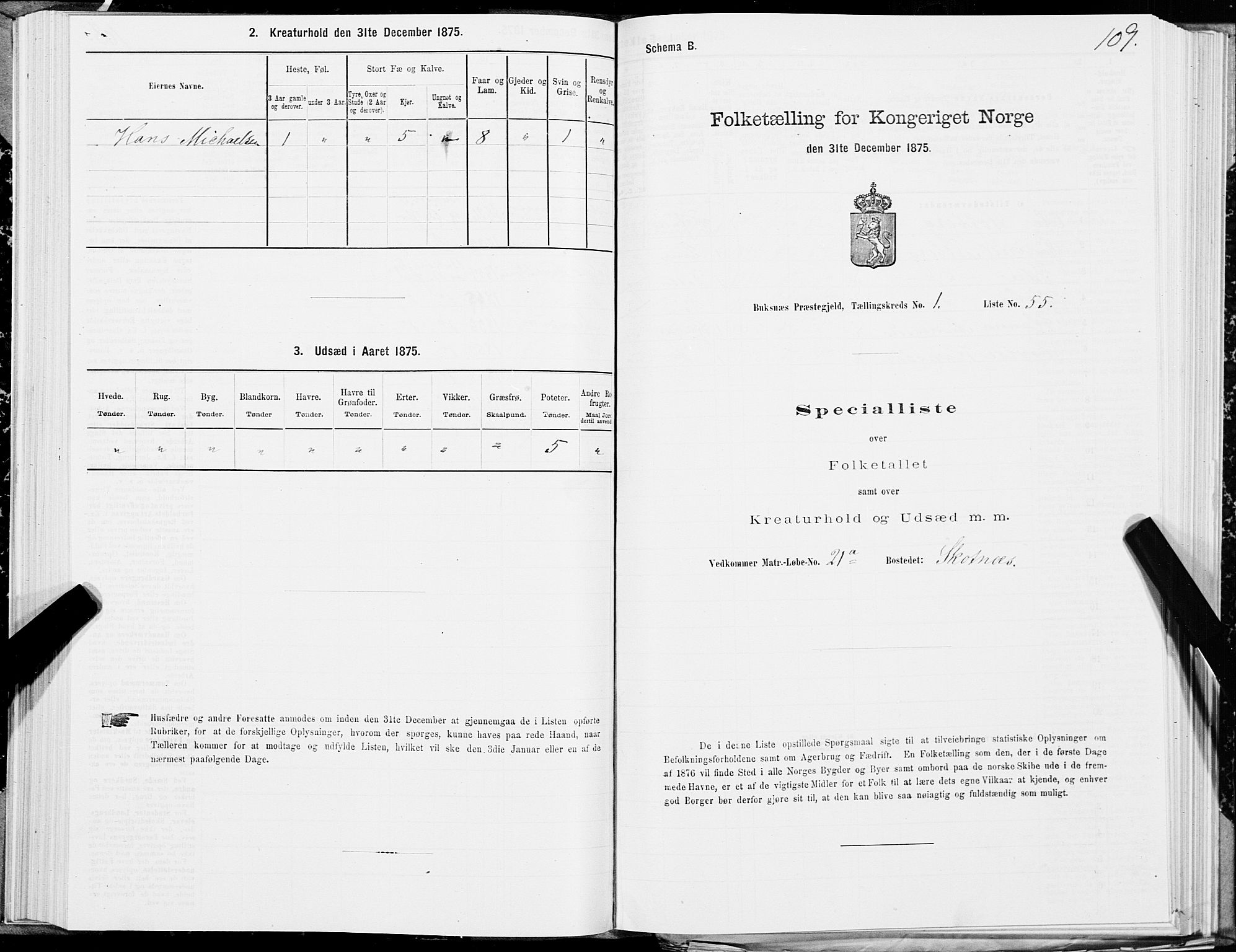 SAT, Folketelling 1875 for 1860P Buksnes prestegjeld, 1875, s. 1109