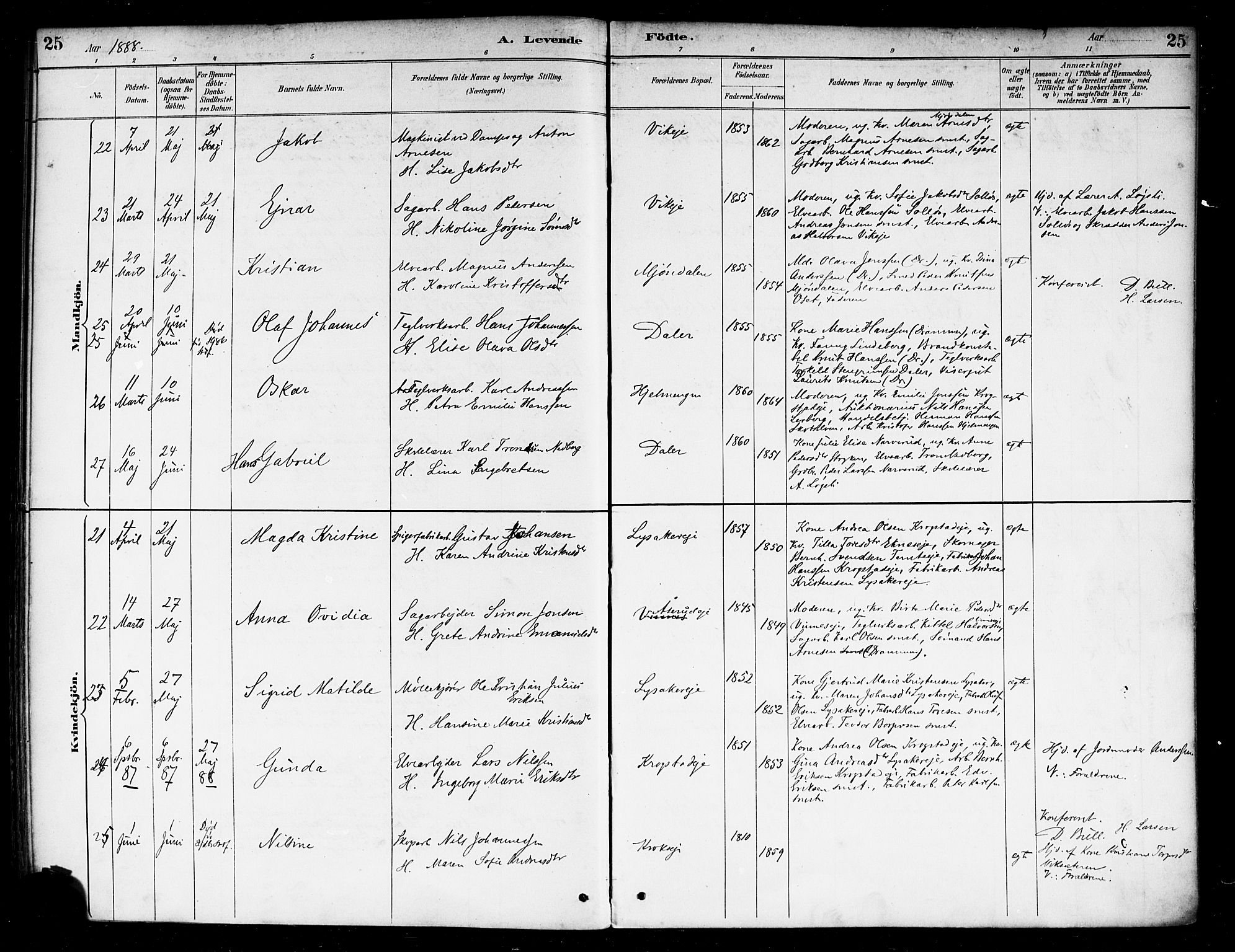 Nedre Eiker kirkebøker, AV/SAKO-A-612/F/Fa/L0003: Ministerialbok nr. 3, 1885-1892, s. 25