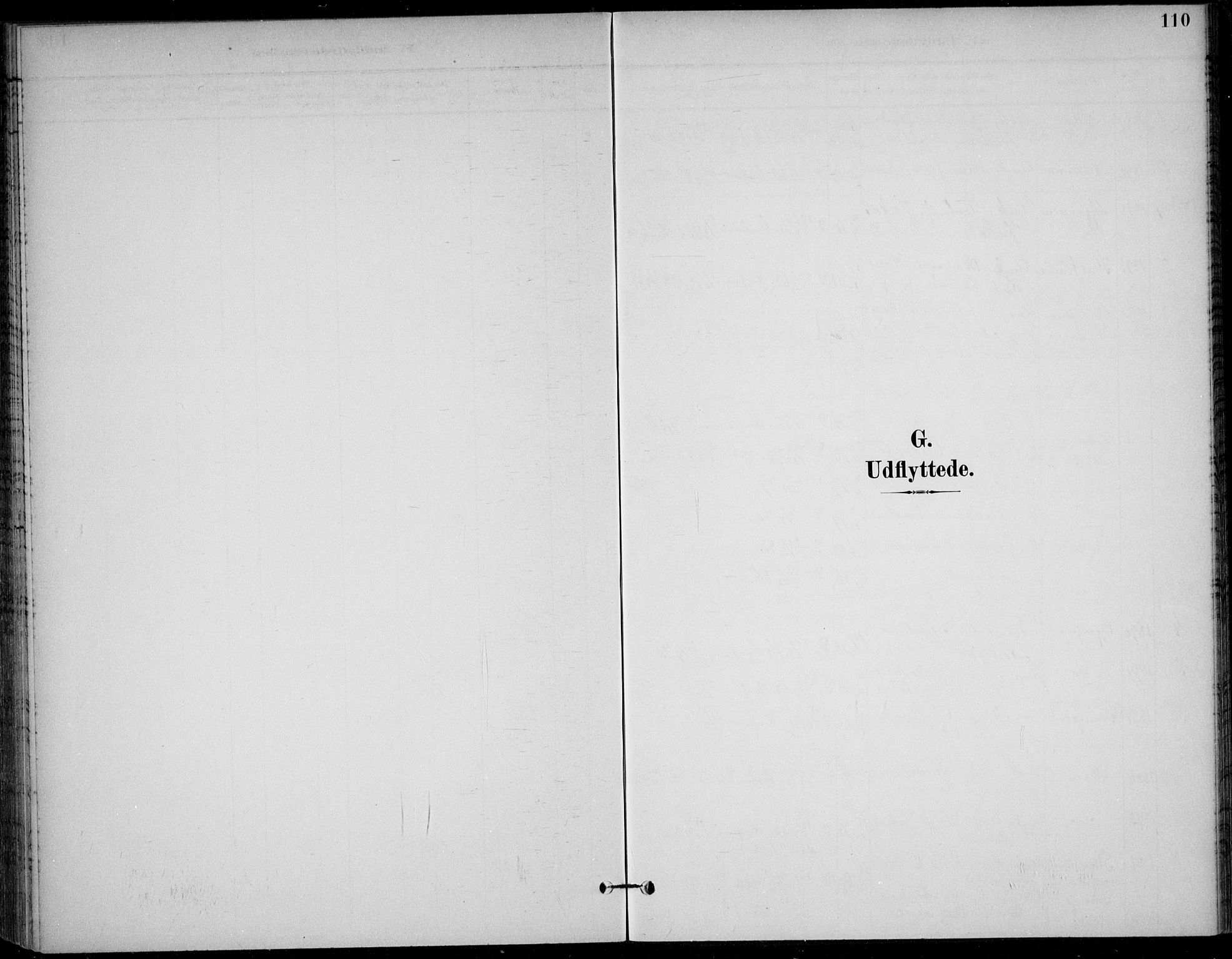 Solum kirkebøker, AV/SAKO-A-306/F/Fc/L0002: Ministerialbok nr. III 2, 1892-1906, s. 110