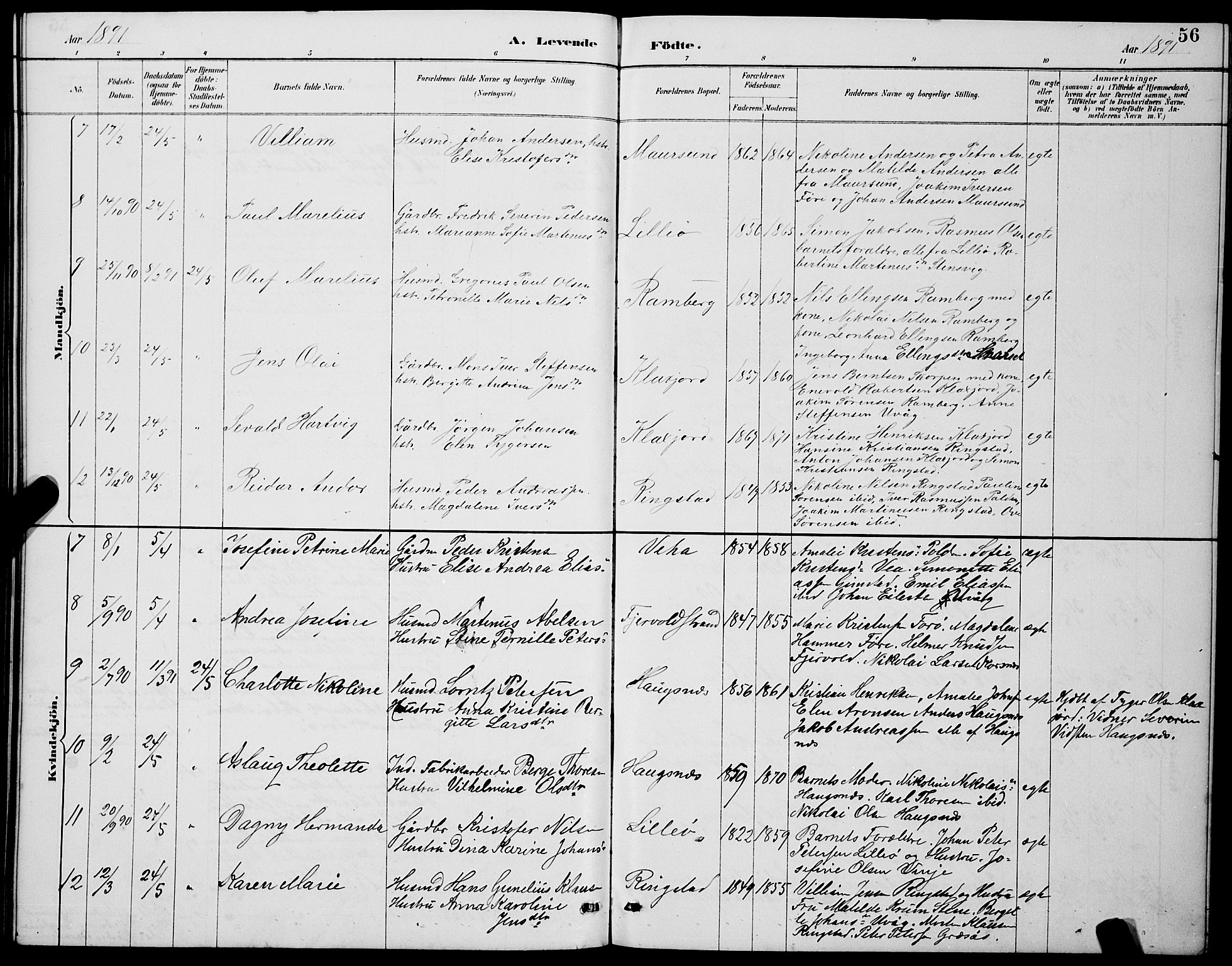 Ministerialprotokoller, klokkerbøker og fødselsregistre - Nordland, SAT/A-1459/891/L1315: Klokkerbok nr. 891C04, 1886-1893, s. 56