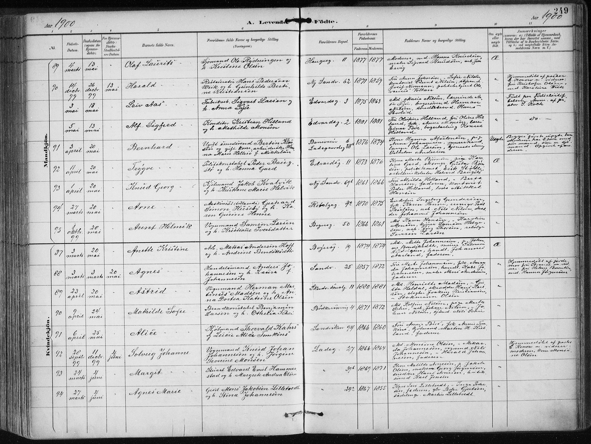 Sandviken Sokneprestembete, AV/SAB-A-77601/H/Ha/L0005: Ministerialbok nr. B 2, 1891-1901, s. 249