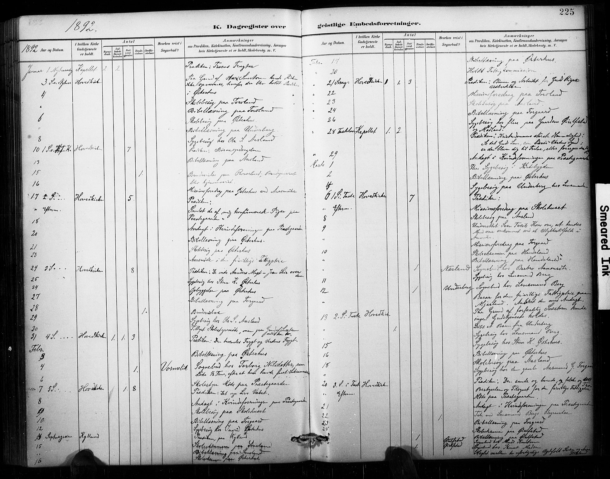 Åseral sokneprestkontor, AV/SAK-1111-0051/F/Fa/L0003: Ministerialbok nr. A 3, 1884-1901, s. 225