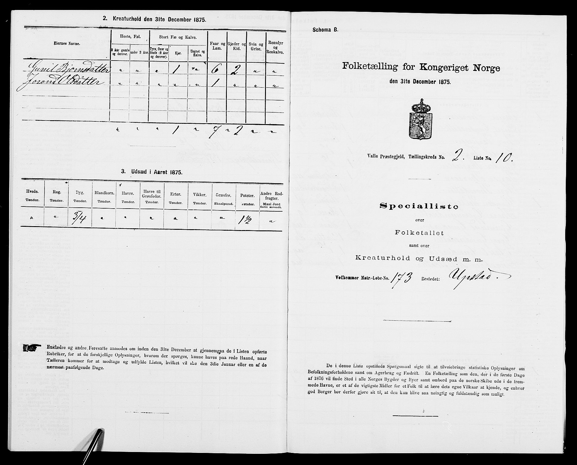 SAK, Folketelling 1875 for 0940P Valle prestegjeld, 1875, s. 169