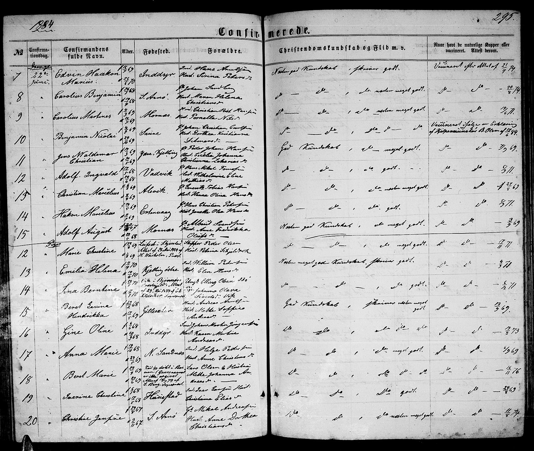 Ministerialprotokoller, klokkerbøker og fødselsregistre - Nordland, AV/SAT-A-1459/805/L0107: Klokkerbok nr. 805C03, 1862-1885, s. 295