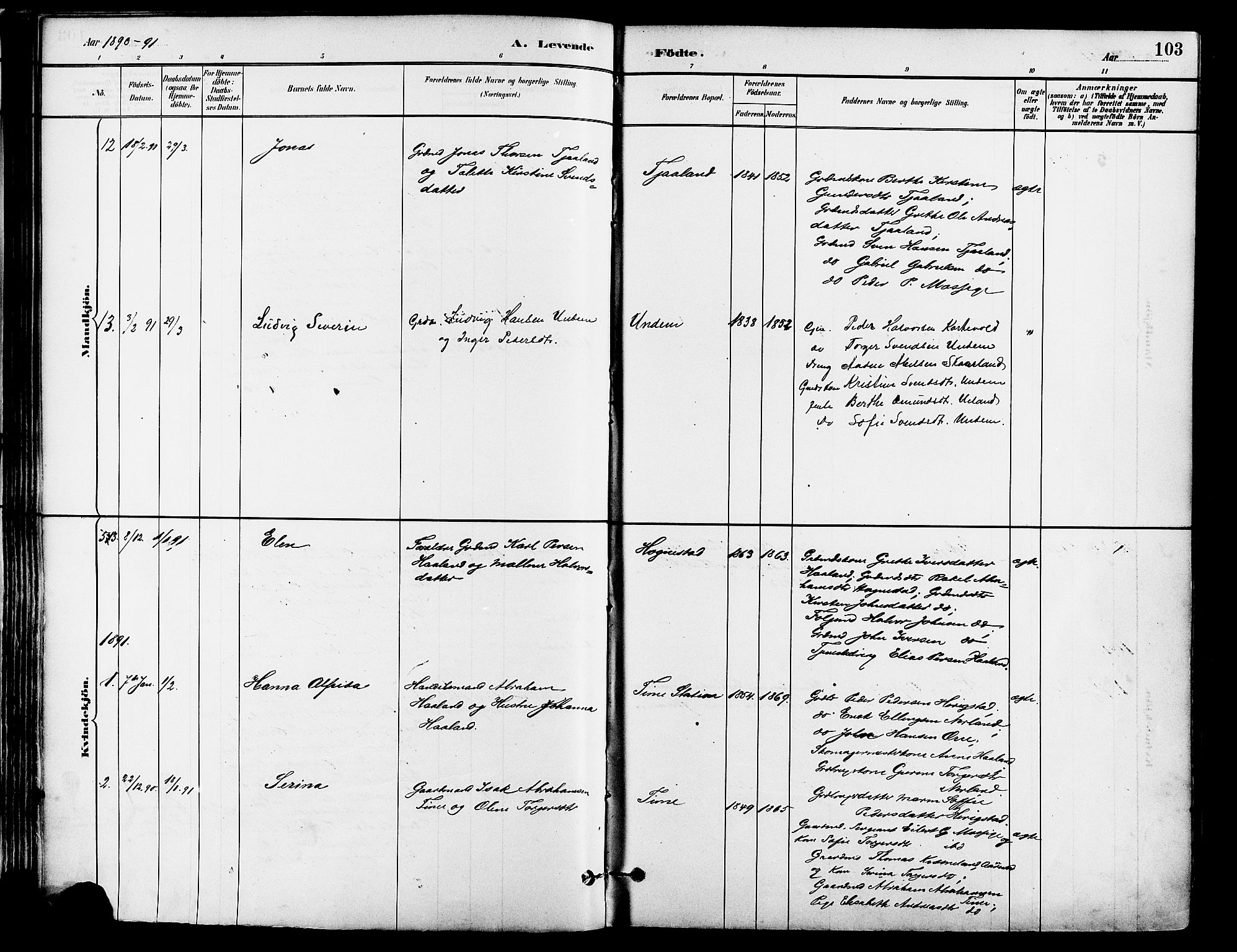 Lye sokneprestkontor, AV/SAST-A-101794/001/30BA/L0009: Ministerialbok nr. A 8, 1881-1892, s. 103