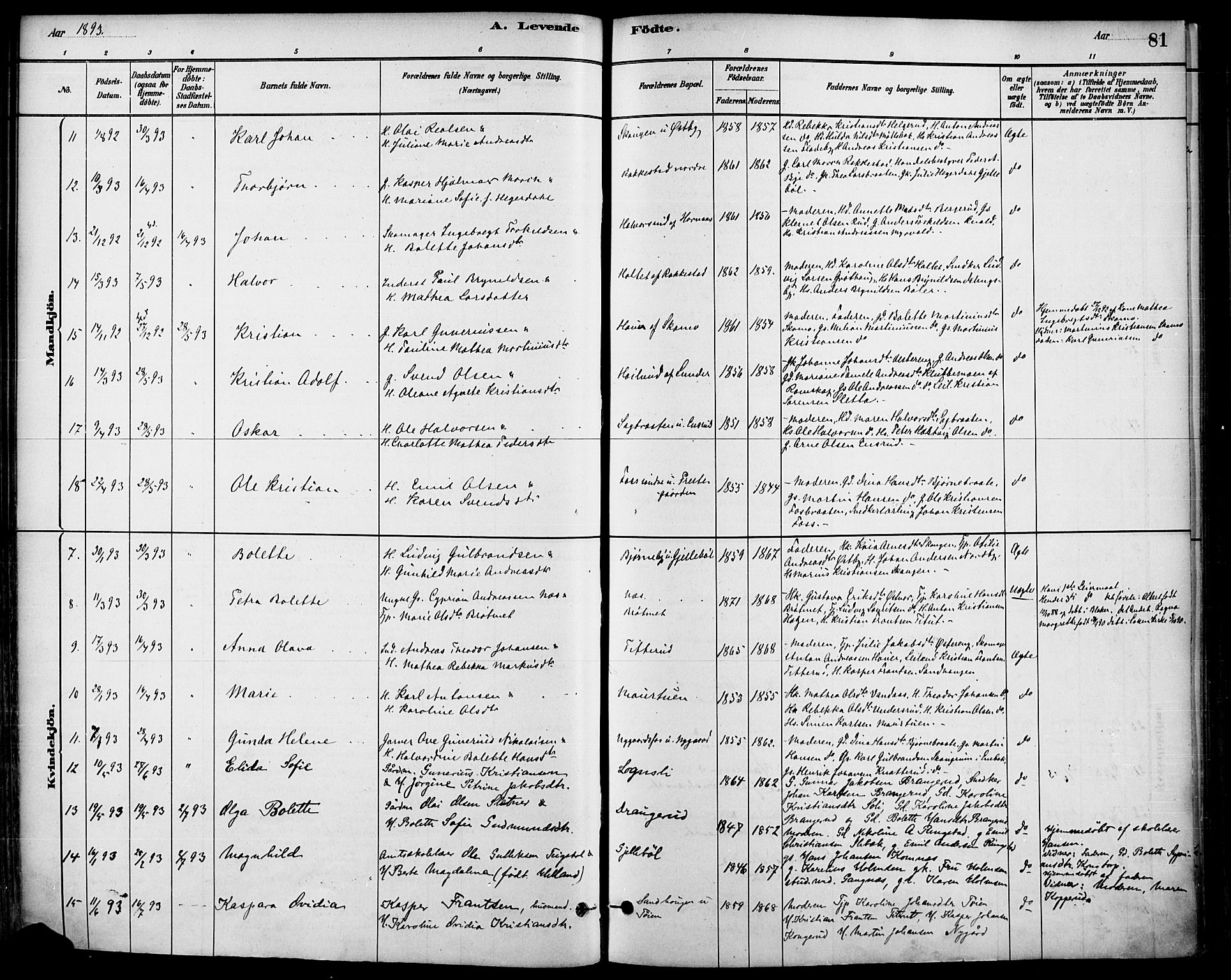 Høland prestekontor Kirkebøker, AV/SAO-A-10346a/F/Fa/L0013: Ministerialbok nr. I 13, 1880-1897, s. 81