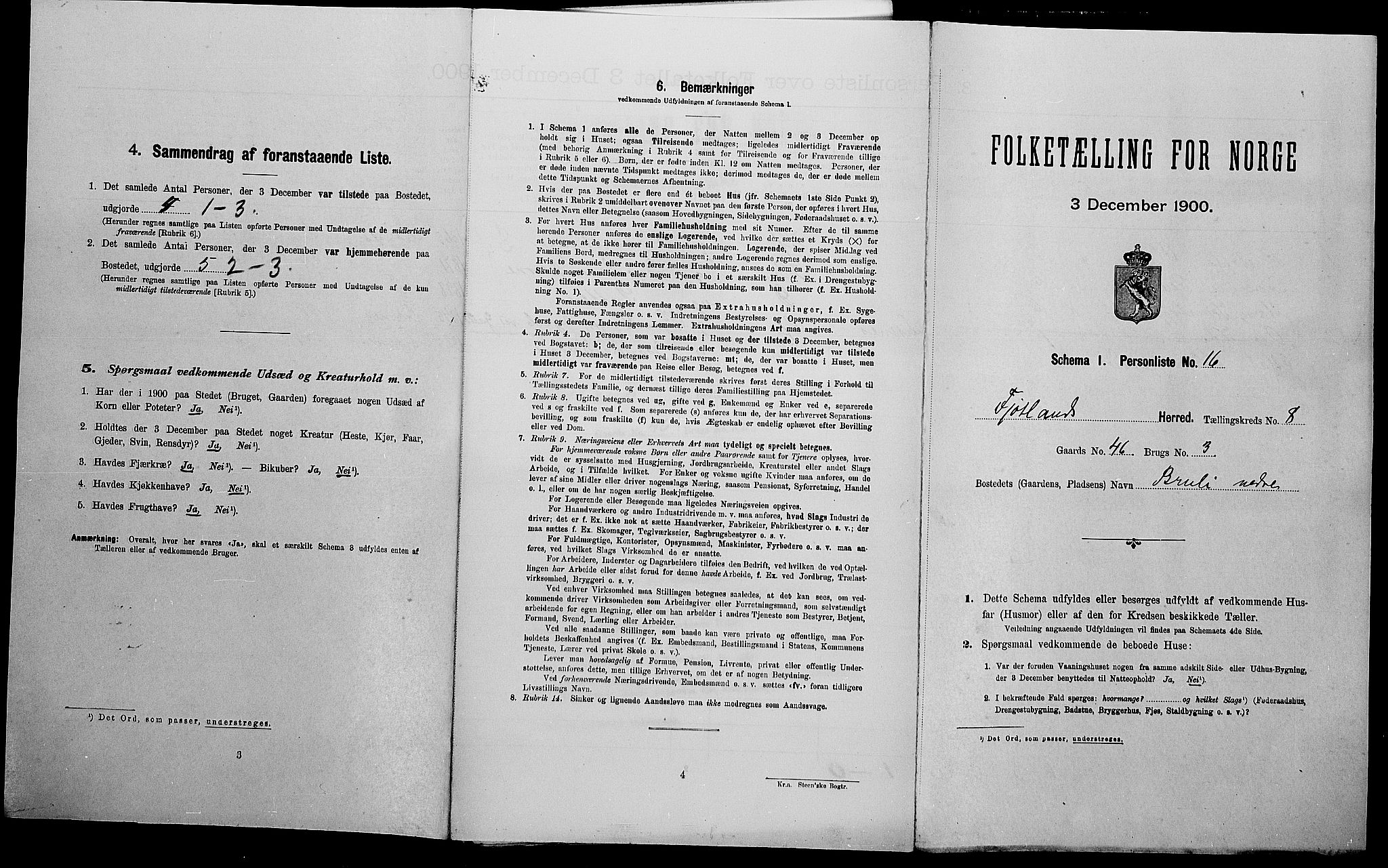 SAK, Folketelling 1900 for 1036 Fjotland herred, 1900, s. 325