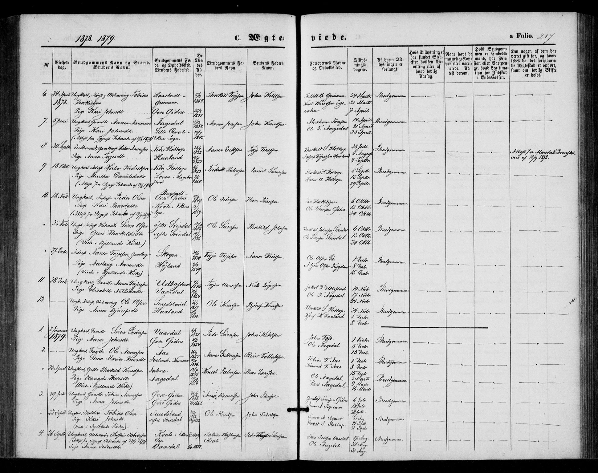 Bjelland sokneprestkontor, SAK/1111-0005/F/Fa/Fac/L0002: Ministerialbok nr. A 2, 1866-1887, s. 217