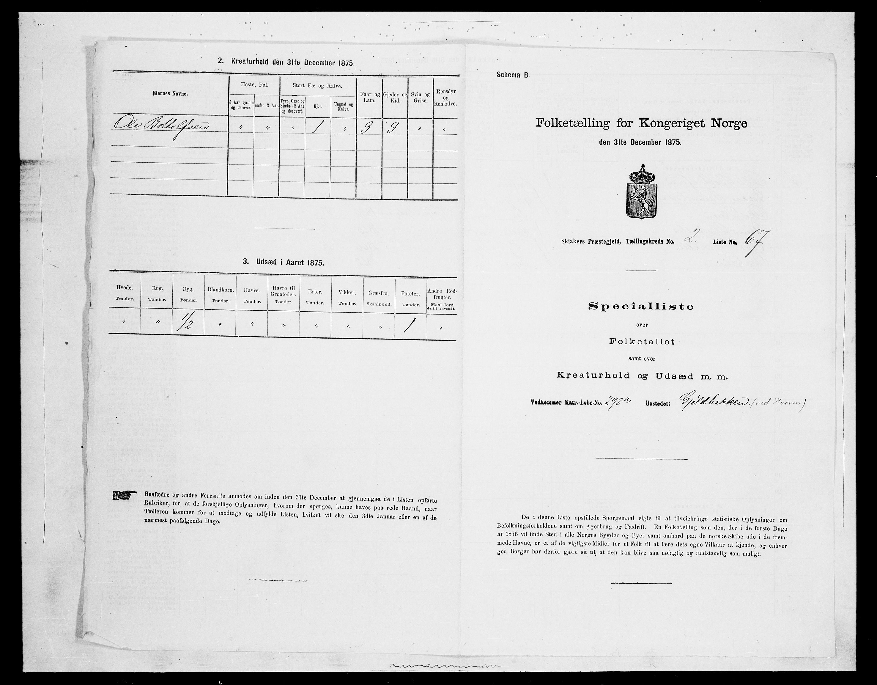 SAH, Folketelling 1875 for 0513P Skjåk prestegjeld, 1875, s. 296