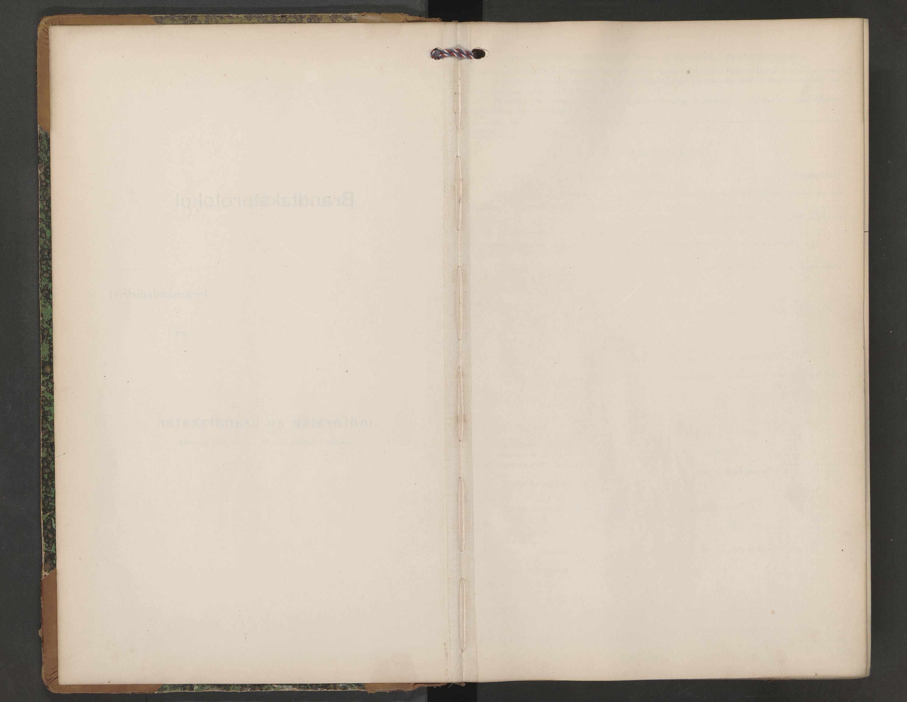 Seljord lensmannskontor, AV/SAKO-A-572/Y/Ye/Yeb/L0004: Skjematakstprotokoll, 1916-1926