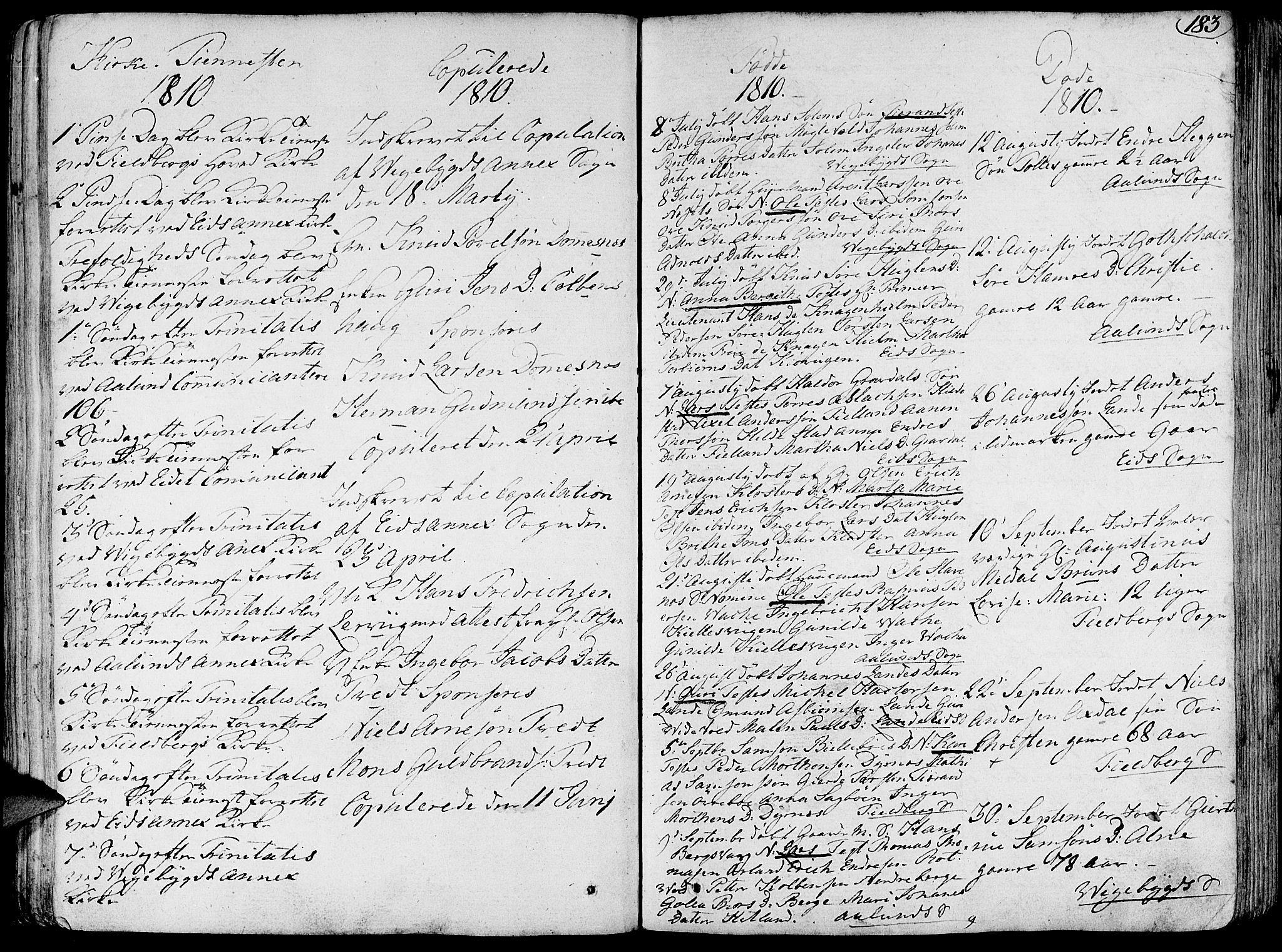 Fjelberg sokneprestembete, SAB/A-75201/H/Haa: Ministerialbok nr. A 3, 1788-1815, s. 183