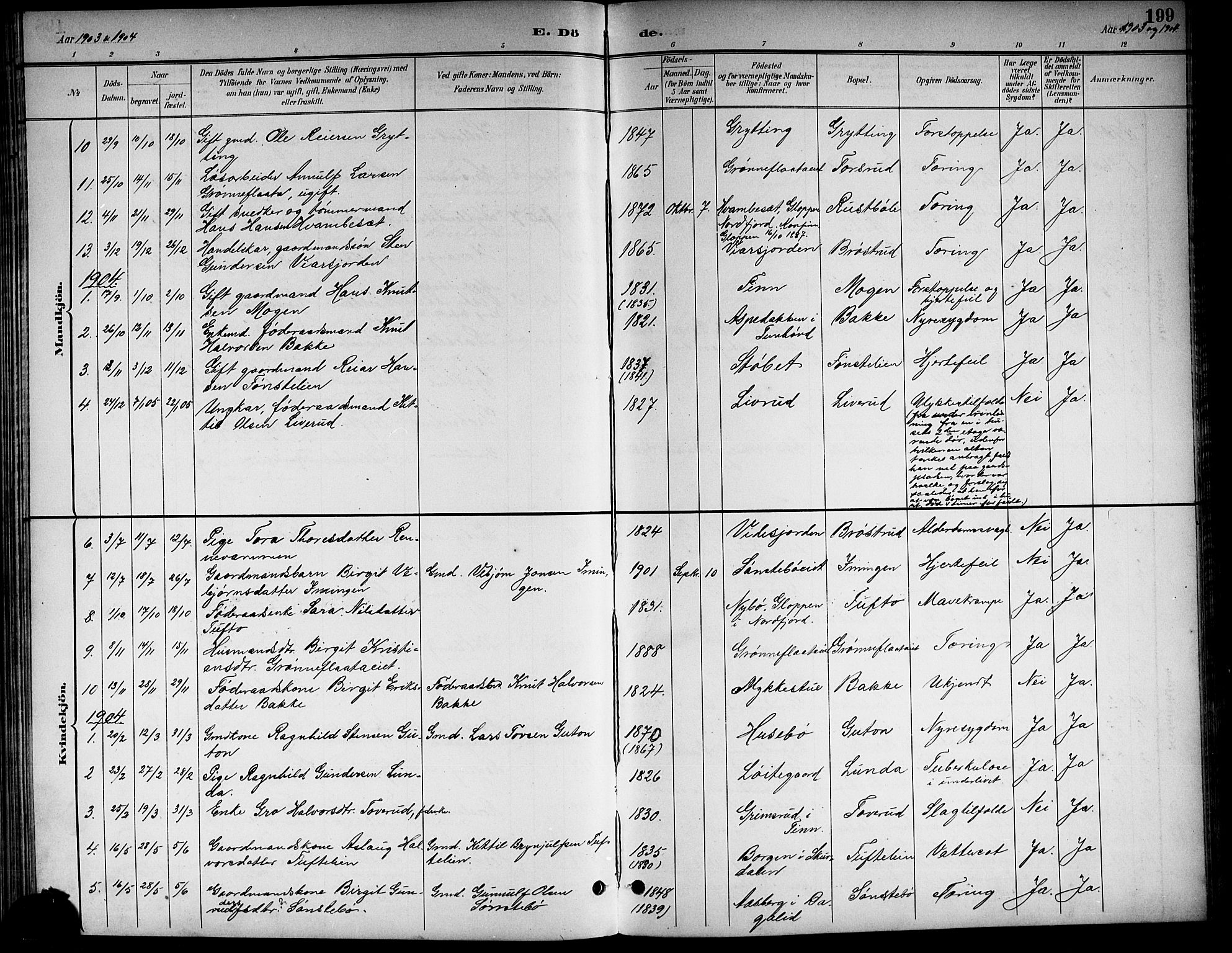 Nore kirkebøker, AV/SAKO-A-238/G/Gb/L0003: Klokkerbok nr. II 3, 1894-1923, s. 199
