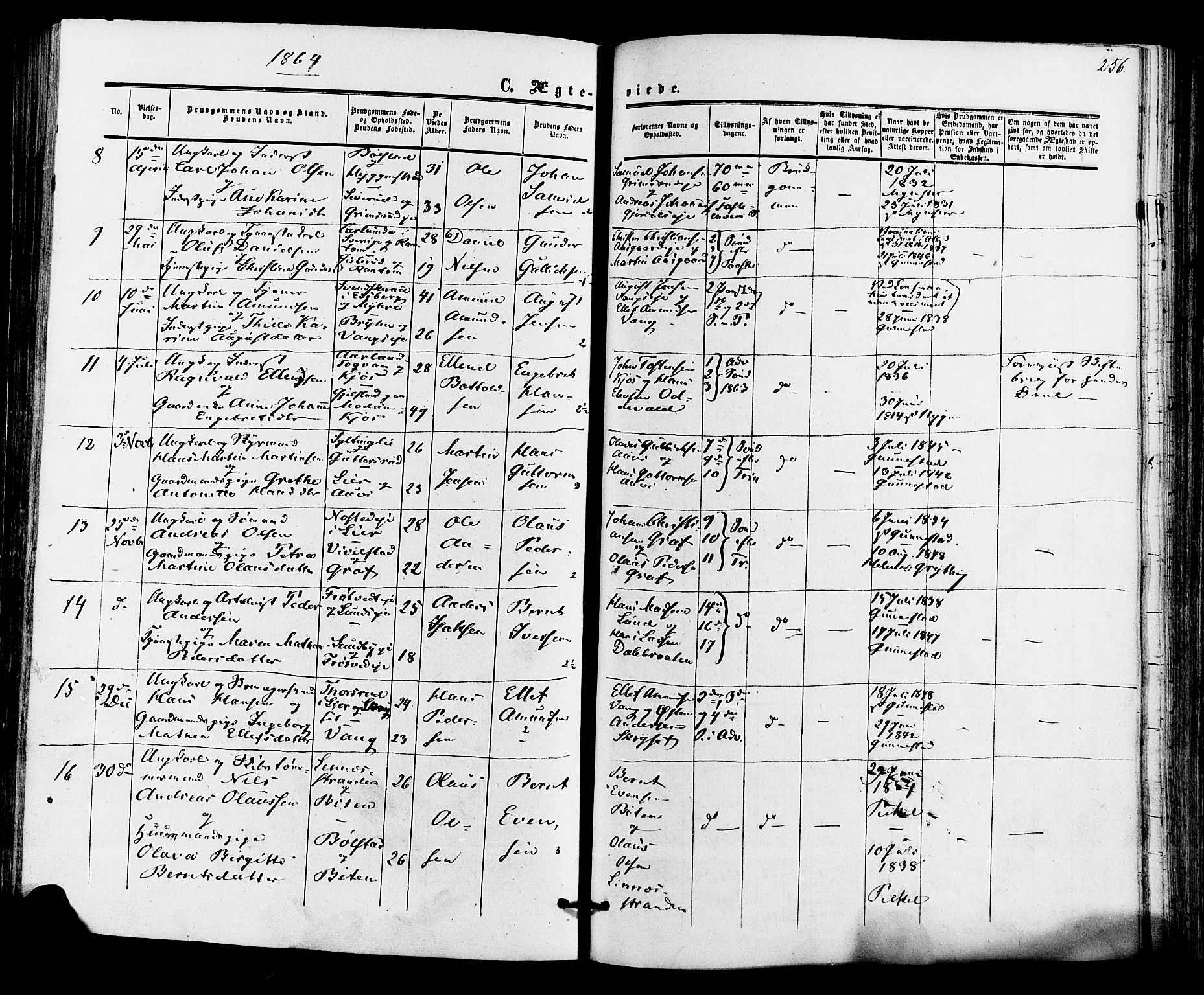 Røyken kirkebøker, SAKO/A-241/F/Fa/L0006: Ministerialbok nr. 6, 1857-1875, s. 256
