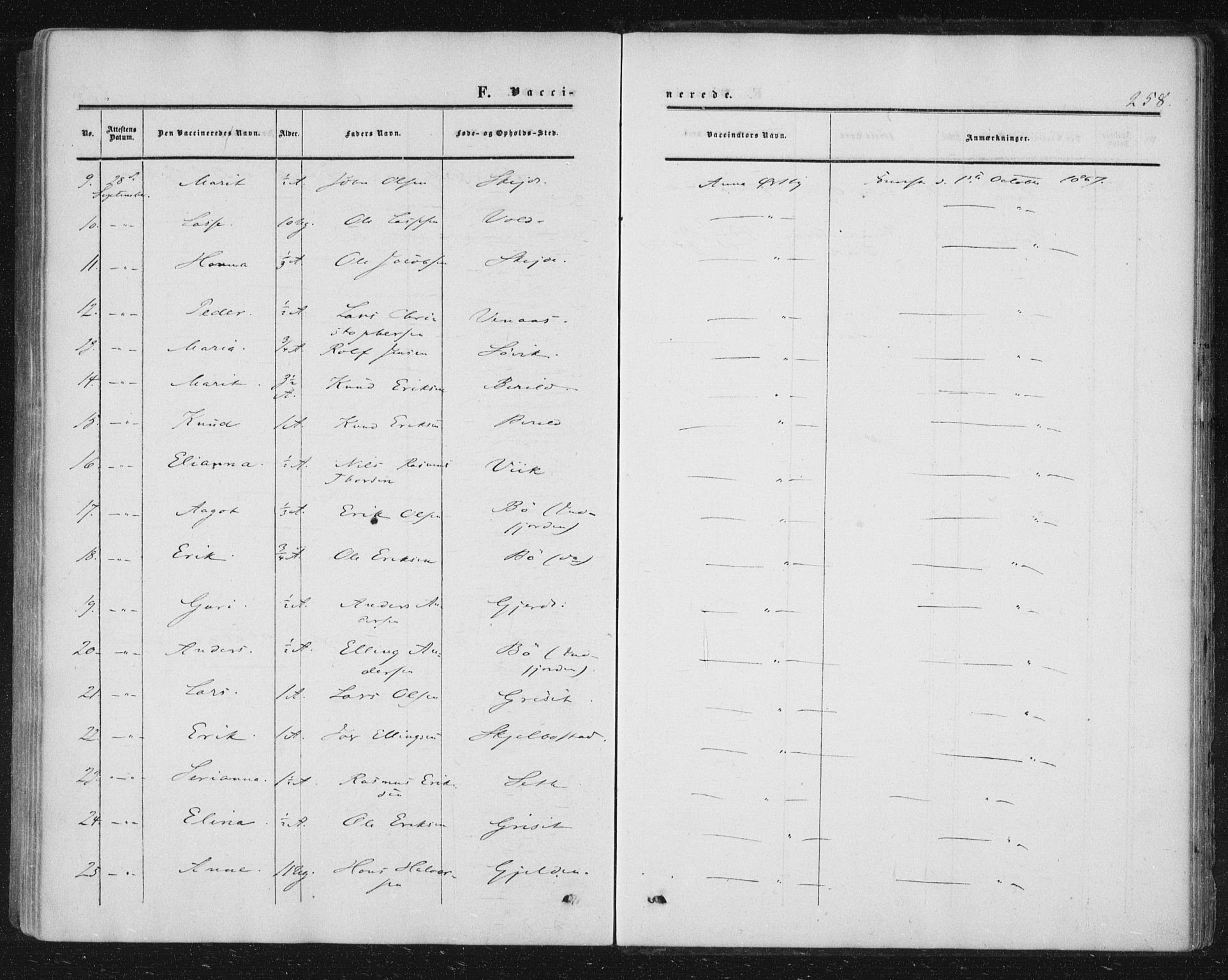 Ministerialprotokoller, klokkerbøker og fødselsregistre - Møre og Romsdal, AV/SAT-A-1454/543/L0562: Ministerialbok nr. 543A02, 1854-1884, s. 258