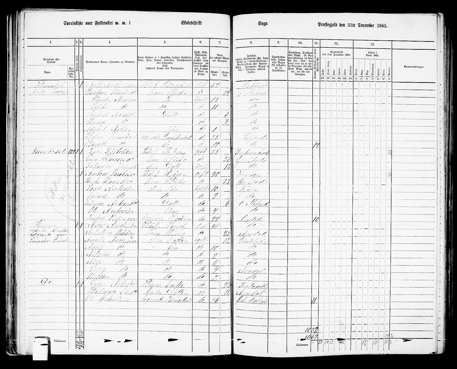 RA, Folketelling 1865 for 0918P Austre Moland prestegjeld, 1865, s. 53