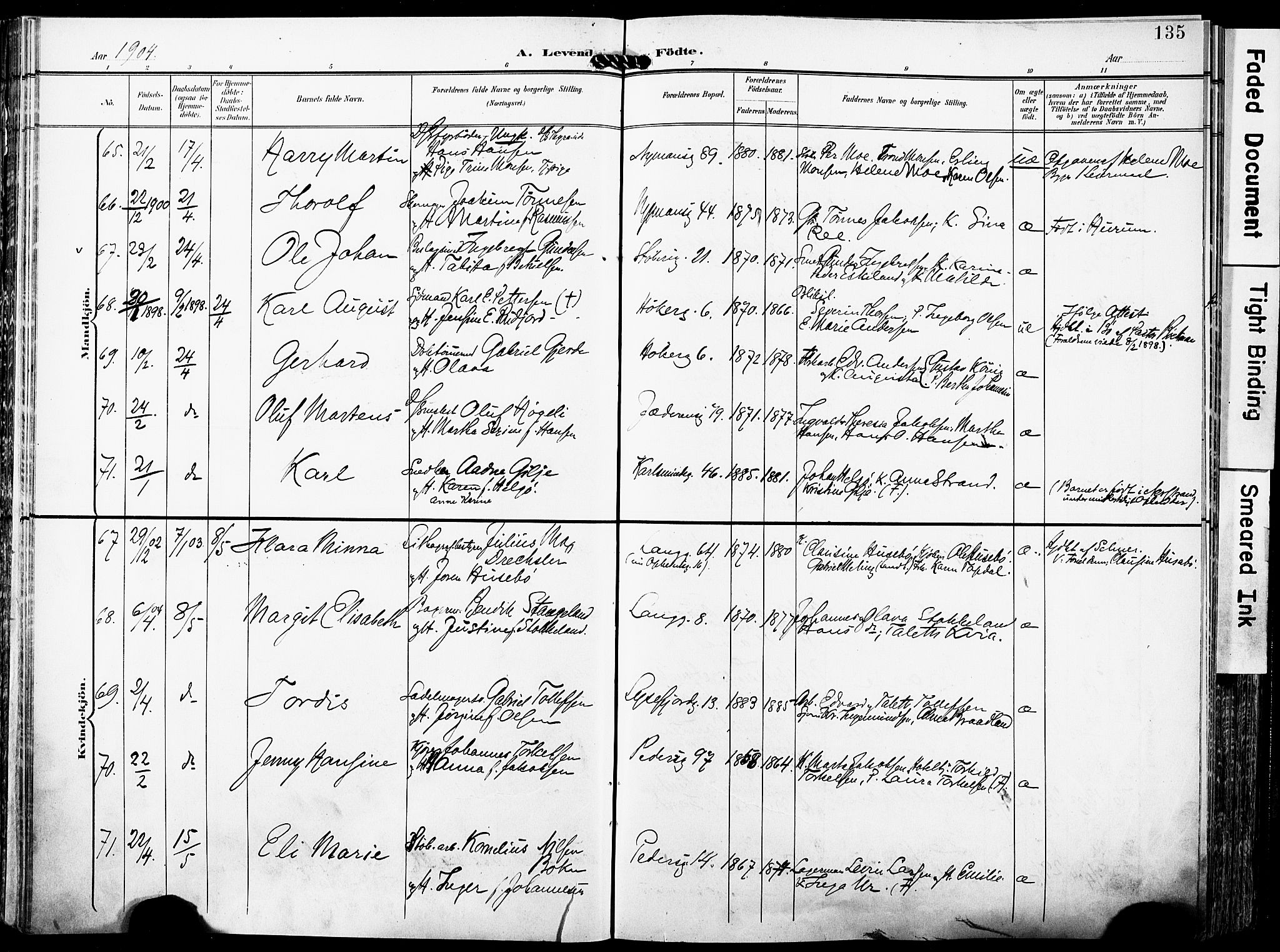 St. Johannes sokneprestkontor, AV/SAST-A-101814/001/30/30BA/L0007: Ministerialbok nr. A 7, 1900-1910, s. 135