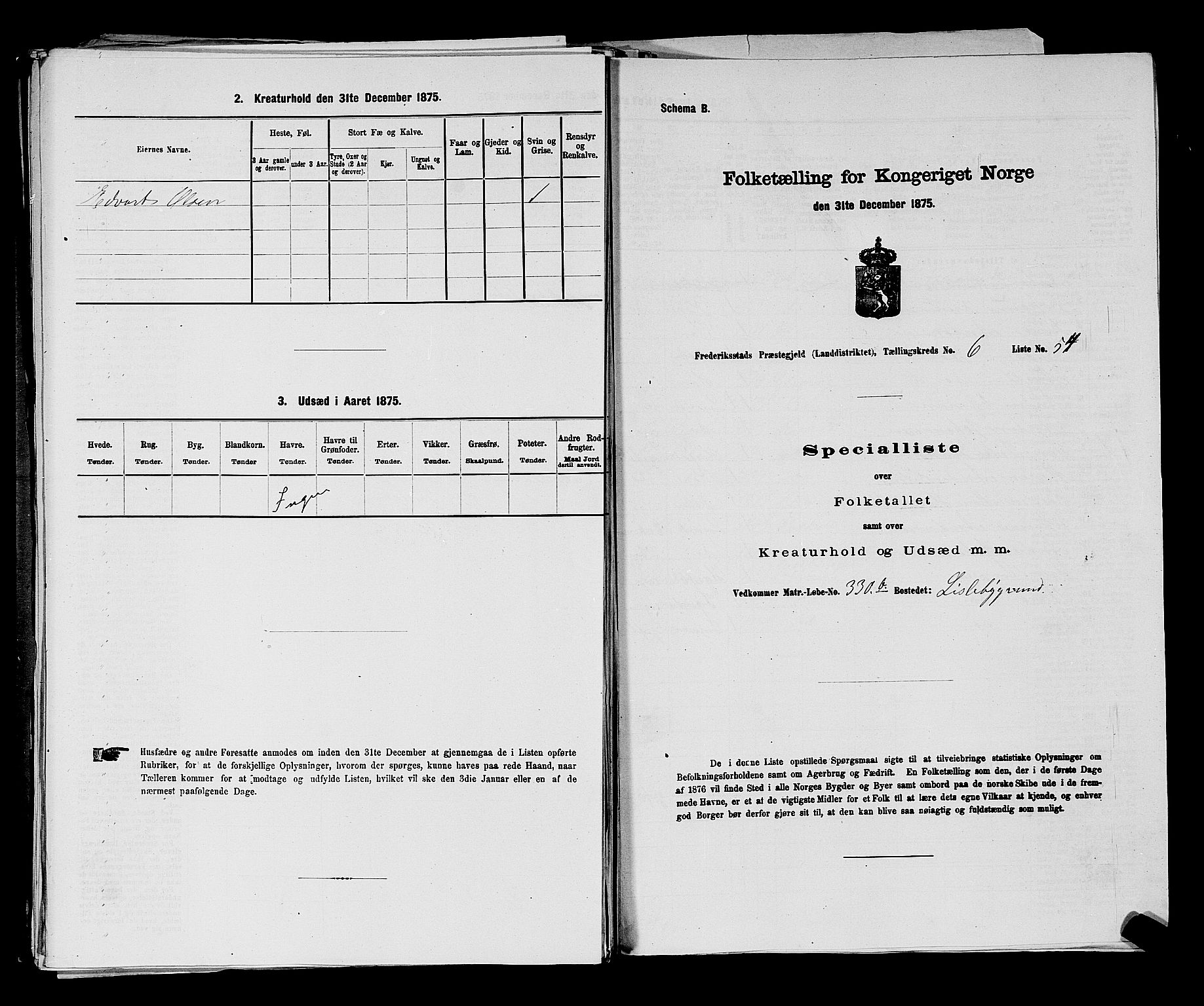 RA, Folketelling 1875 for 0132L Fredrikstad prestegjeld, Glemmen sokn, 1875, s. 1258