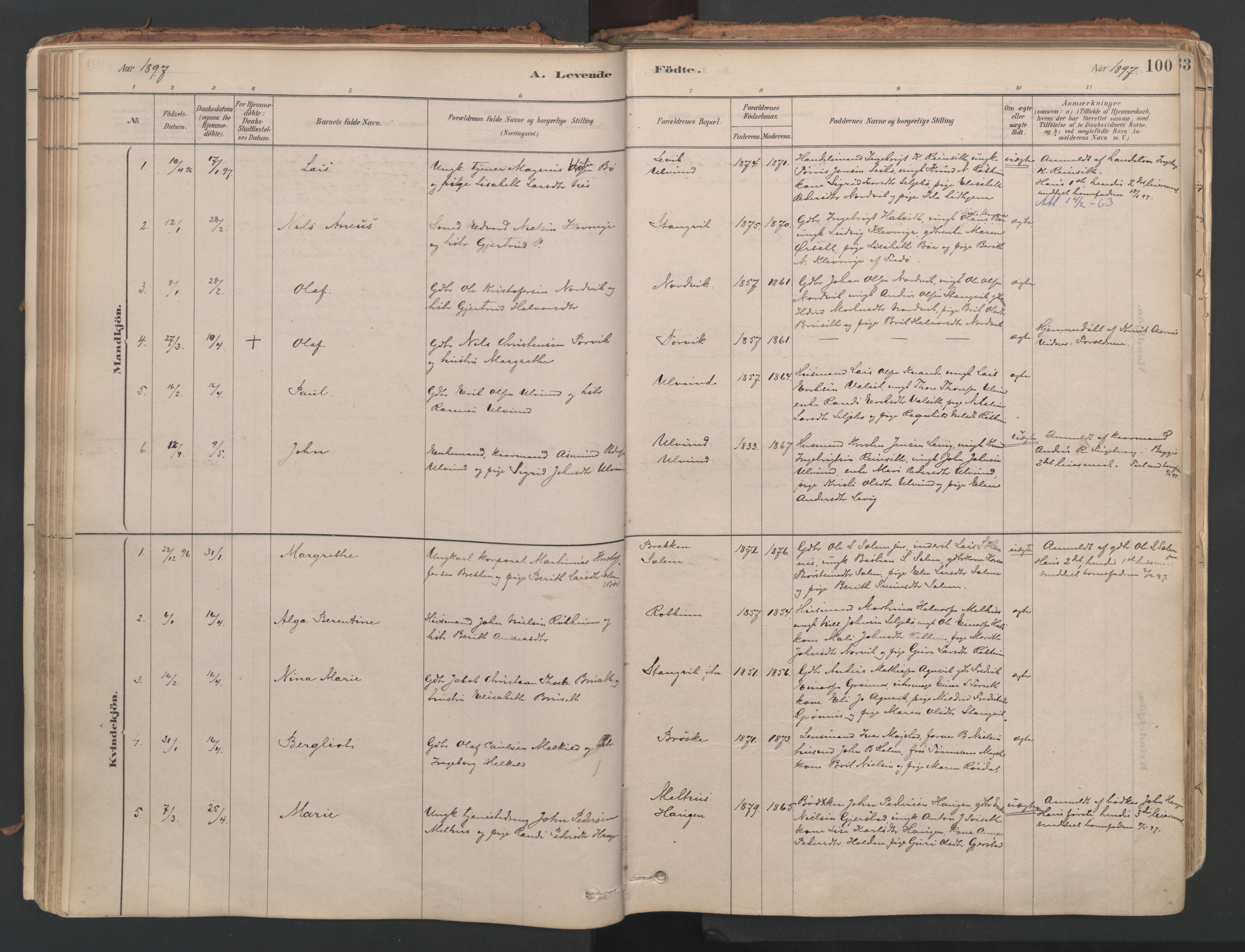 Ministerialprotokoller, klokkerbøker og fødselsregistre - Møre og Romsdal, SAT/A-1454/592/L1029: Ministerialbok nr. 592A07, 1879-1902, s. 100