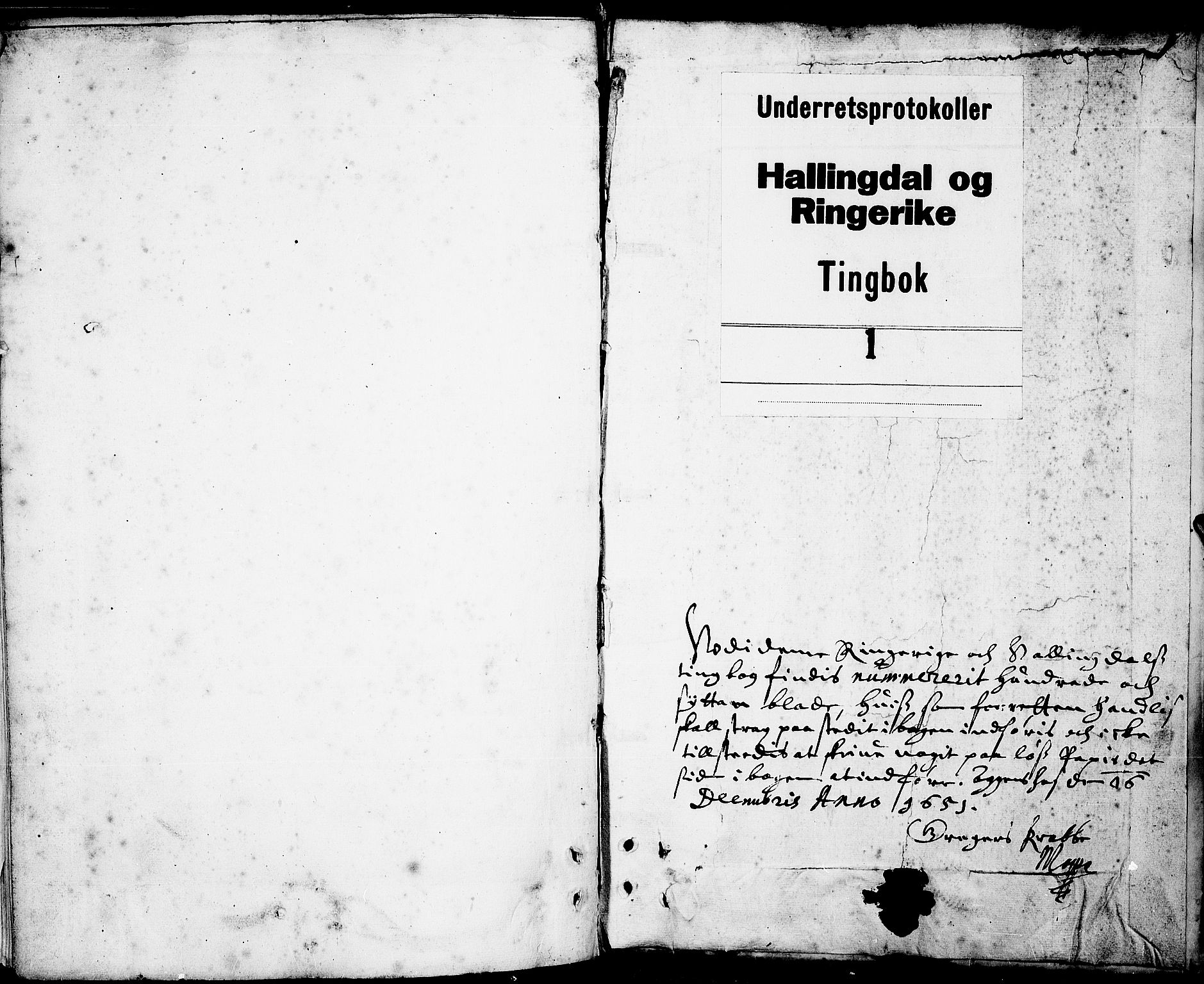Ringerike og Hallingdal sorenskriveri, SAKO/A-81/F/Fa/Faa/L0001: Tingbok, 1652-1653