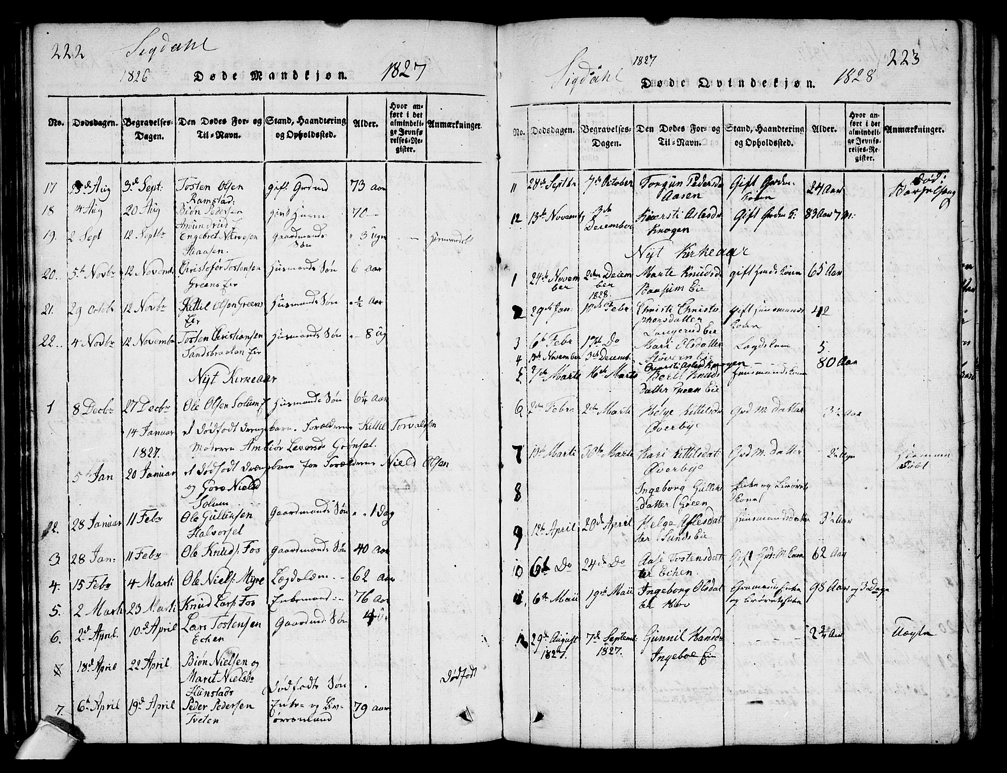 Sigdal kirkebøker, AV/SAKO-A-245/G/Ga/L0001: Klokkerbok nr. I 1 /1, 1816-1835, s. 222-223