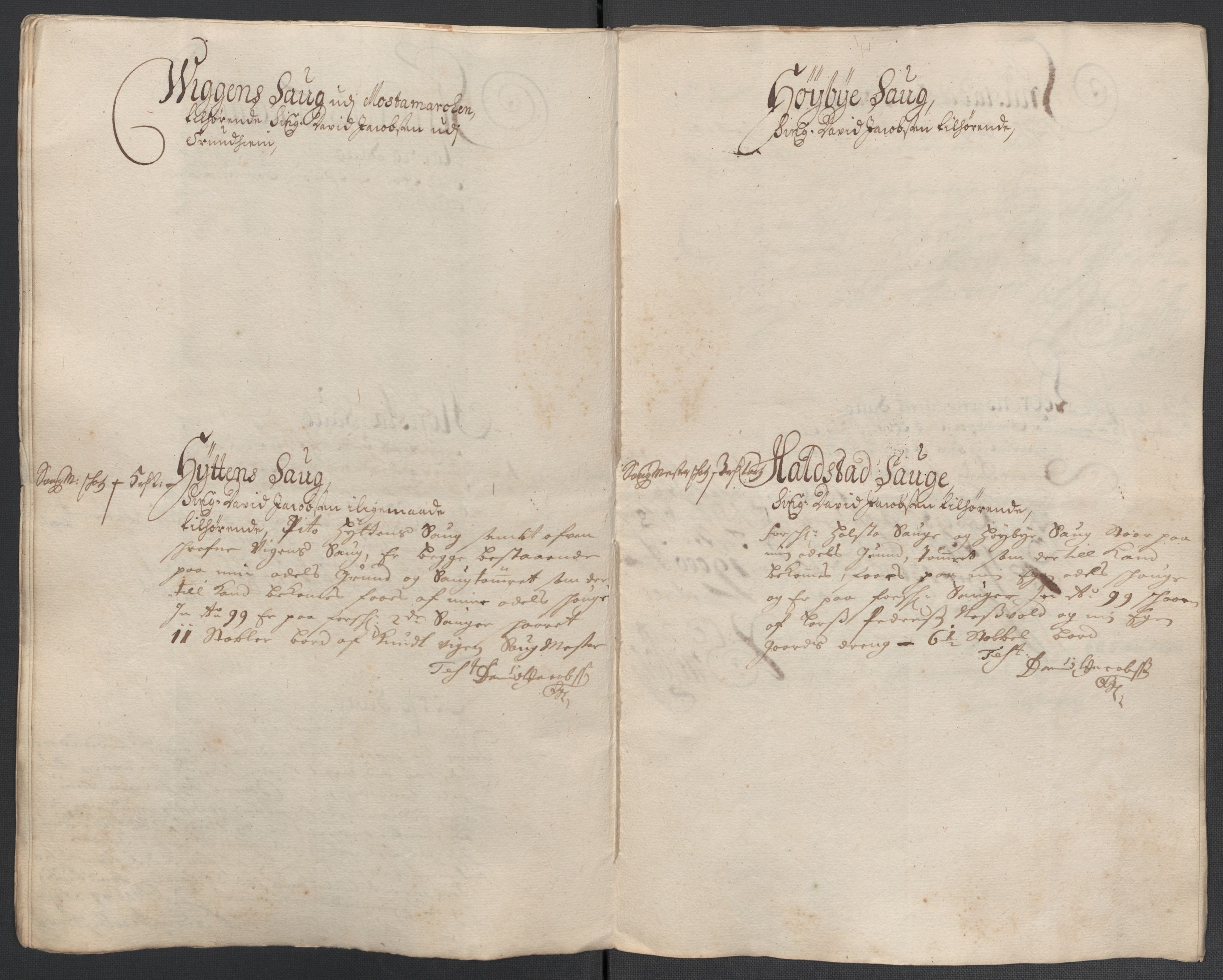 Rentekammeret inntil 1814, Reviderte regnskaper, Fogderegnskap, RA/EA-4092/R61/L4107: Fogderegnskap Strinda og Selbu, 1698-1700, s. 234