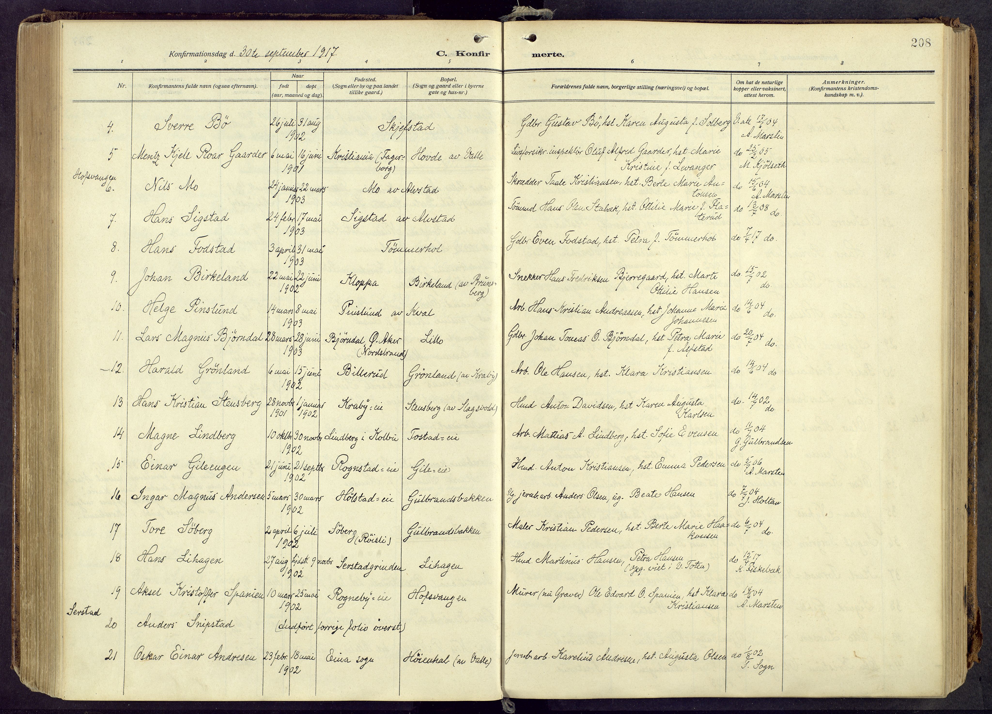 Østre Toten prestekontor, AV/SAH-PREST-104/H/Ha/Haa/L0010: Ministerialbok nr. 10, 1910-1920, s. 208