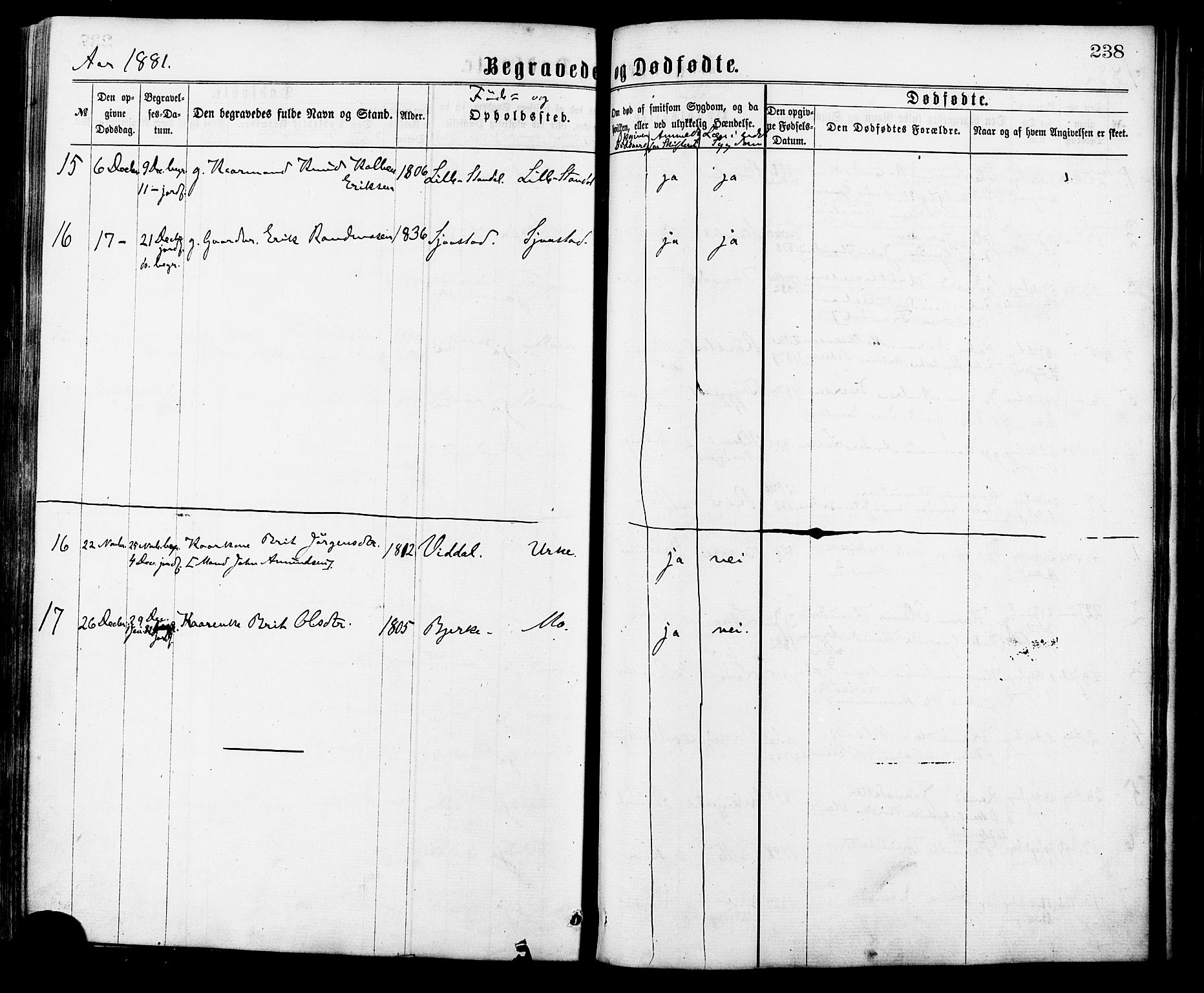 Ministerialprotokoller, klokkerbøker og fødselsregistre - Møre og Romsdal, AV/SAT-A-1454/515/L0210: Ministerialbok nr. 515A06, 1868-1885, s. 238