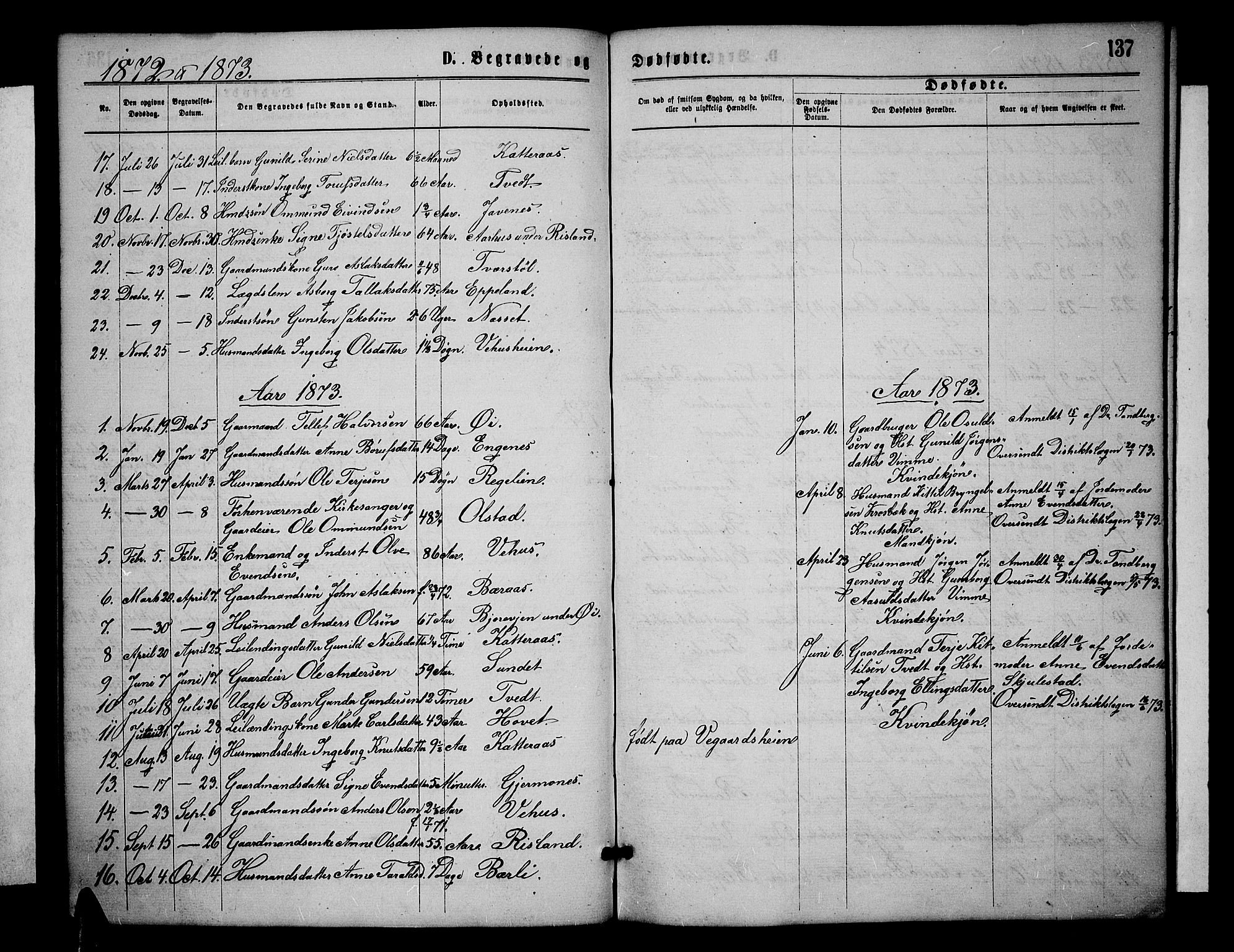 Åmli sokneprestkontor, AV/SAK-1111-0050/F/Fb/Fbc/L0003: Klokkerbok nr. B 3, 1868-1888, s. 137