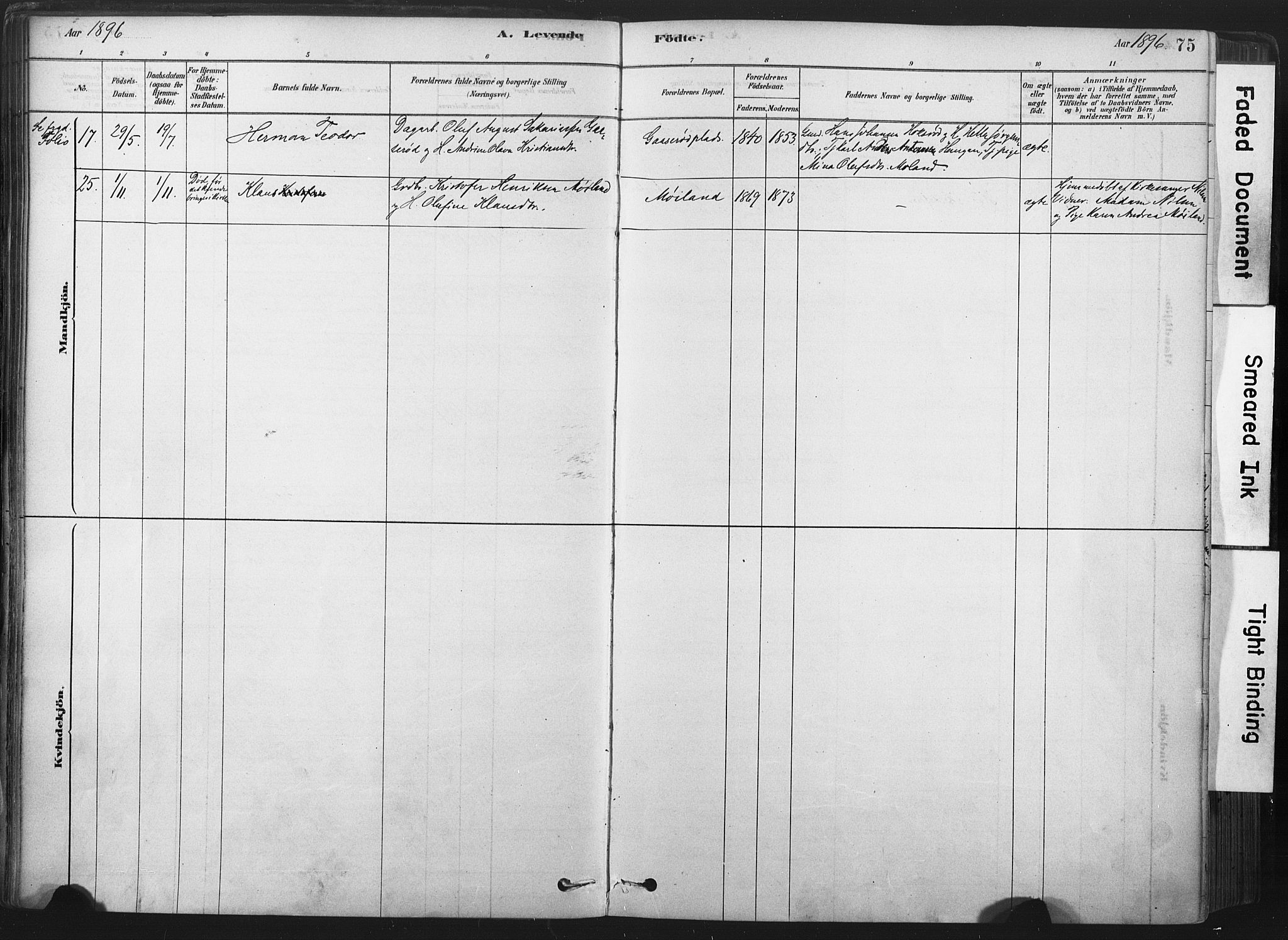 Andebu kirkebøker, AV/SAKO-A-336/F/Fa/L0007: Ministerialbok nr. I 7, 1878-1899, s. 75