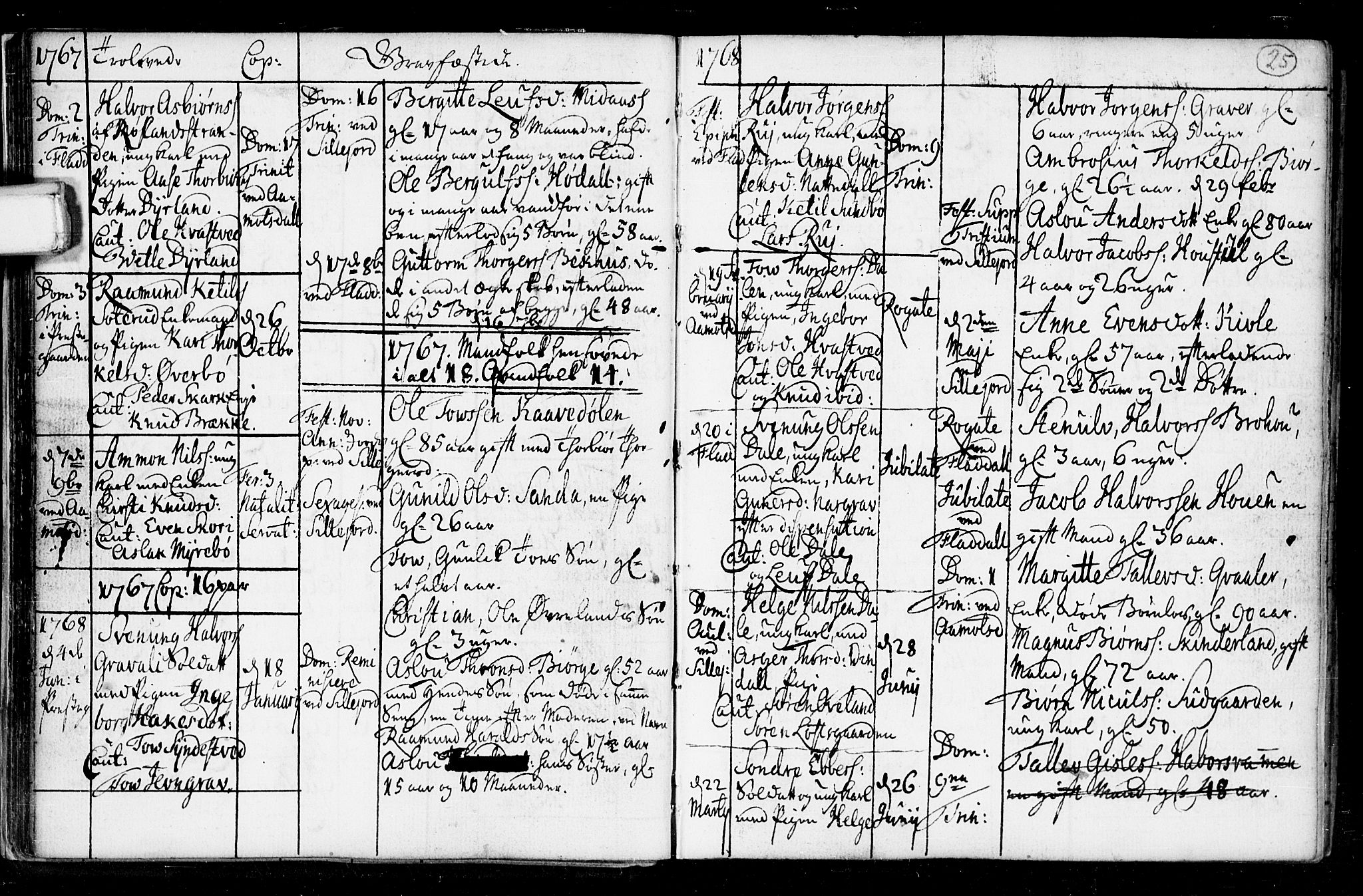 Seljord kirkebøker, AV/SAKO-A-20/F/Fa/L0008: Ministerialbok nr. I 8, 1755-1814, s. 25