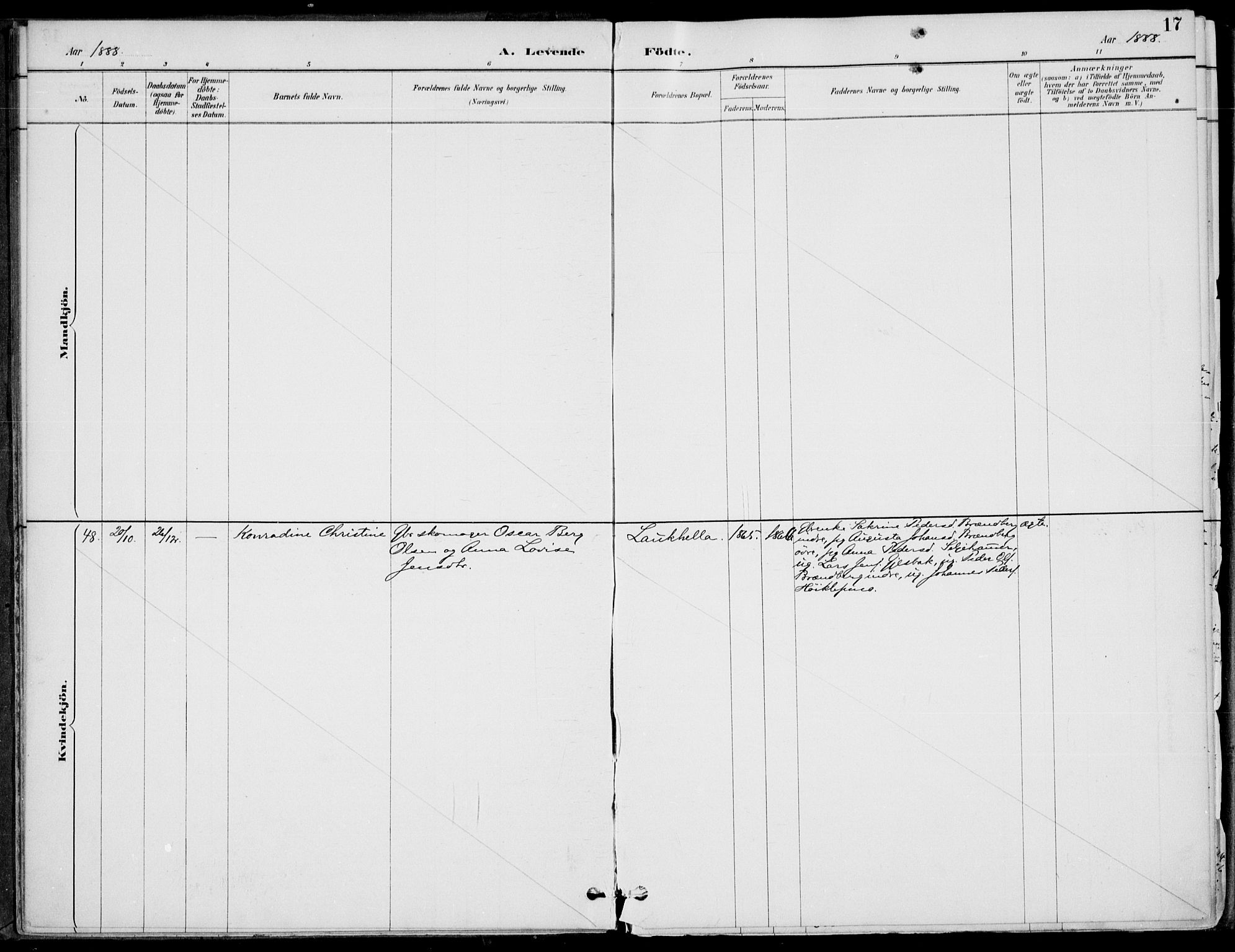 Ministerialprotokoller, klokkerbøker og fødselsregistre - Nordland, AV/SAT-A-1459/825/L0362: Ministerialbok nr. 825A16, 1886-1908, s. 17