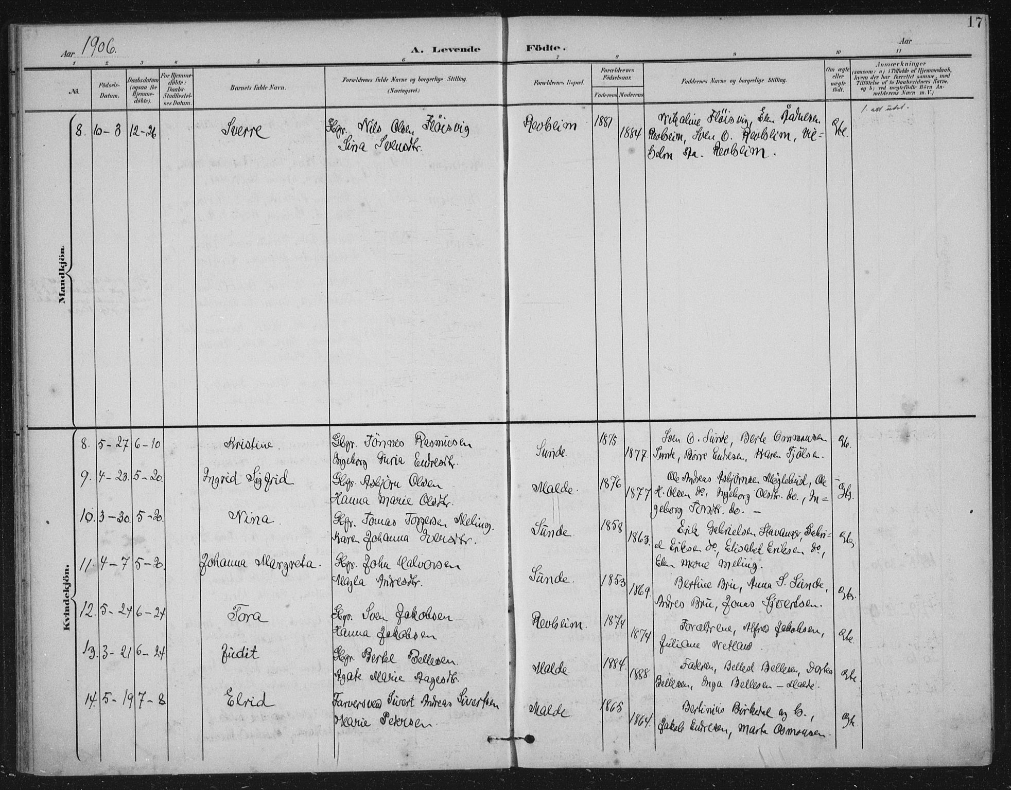 Håland sokneprestkontor, AV/SAST-A-101802/002/B/L0001: Ministerialbok nr. A 13, 1901-1923, s. 17